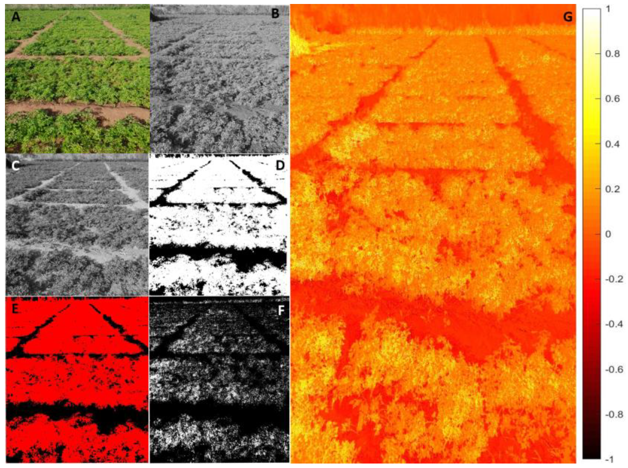 Sustainability 14 02521 g020 550