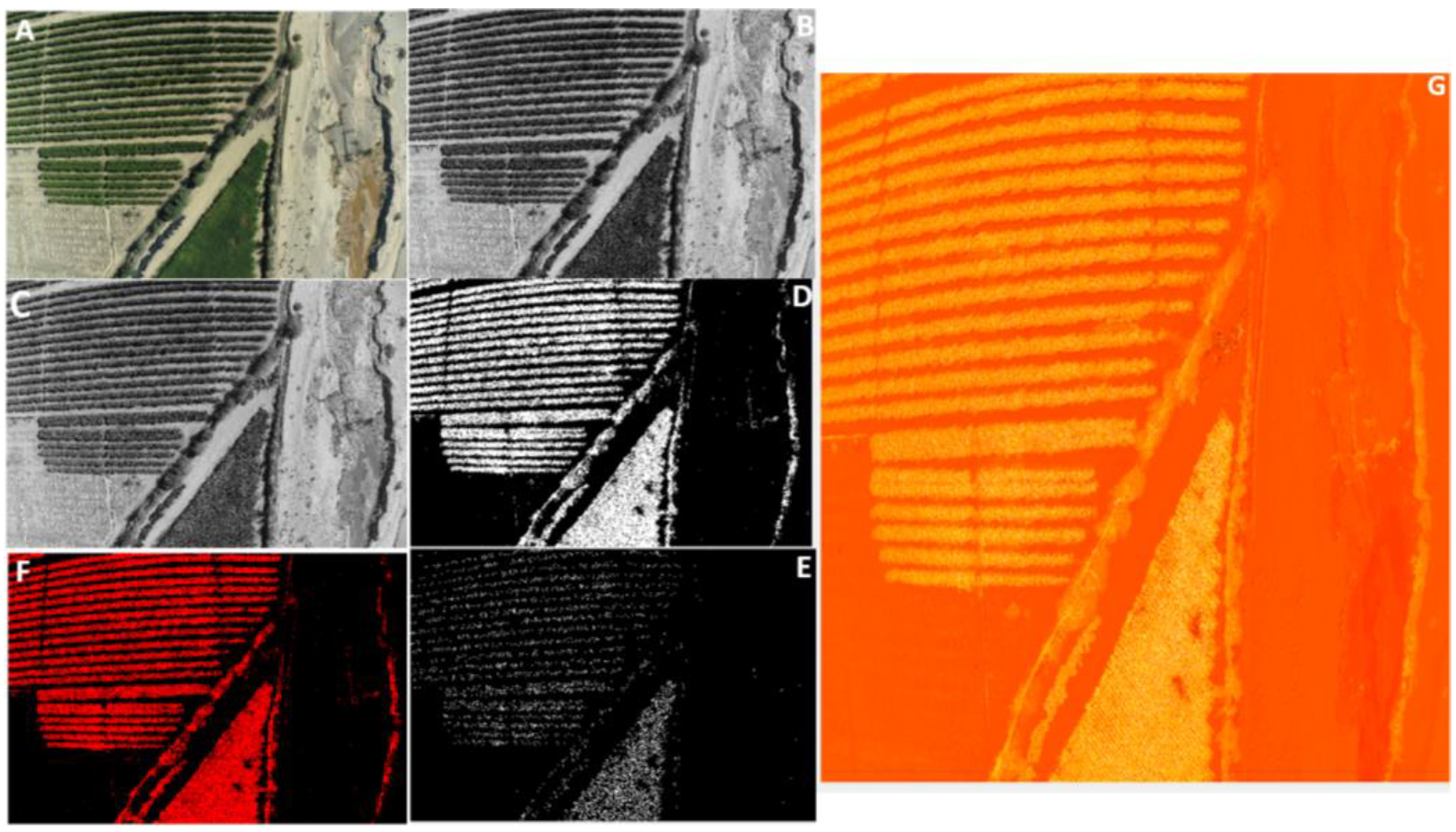 Sustainability 14 02521 g021 550