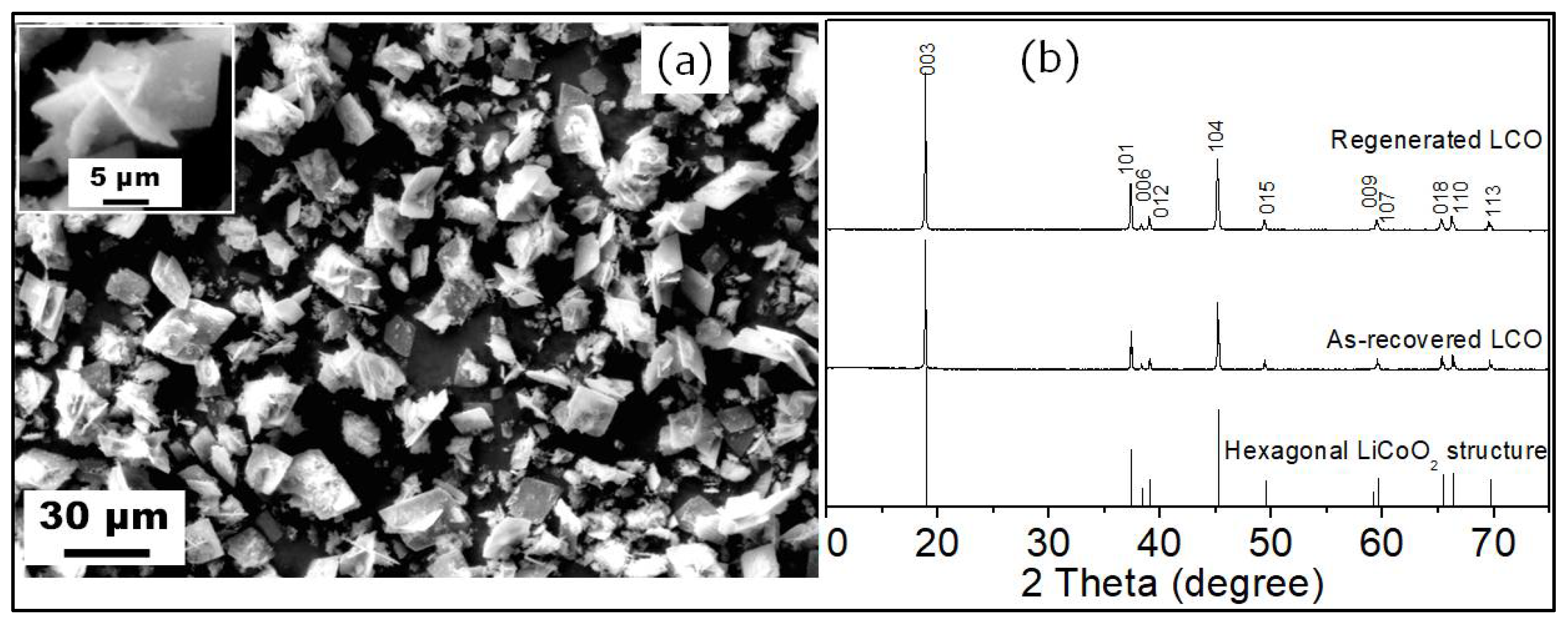 Sustainability 14 02552 g005