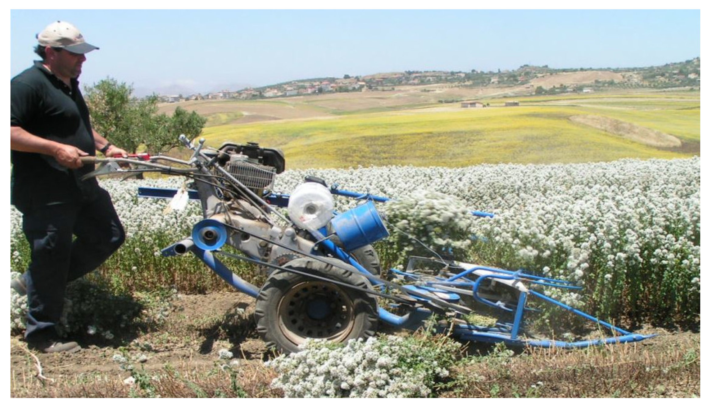 Sustainability 14 02562 g001 550