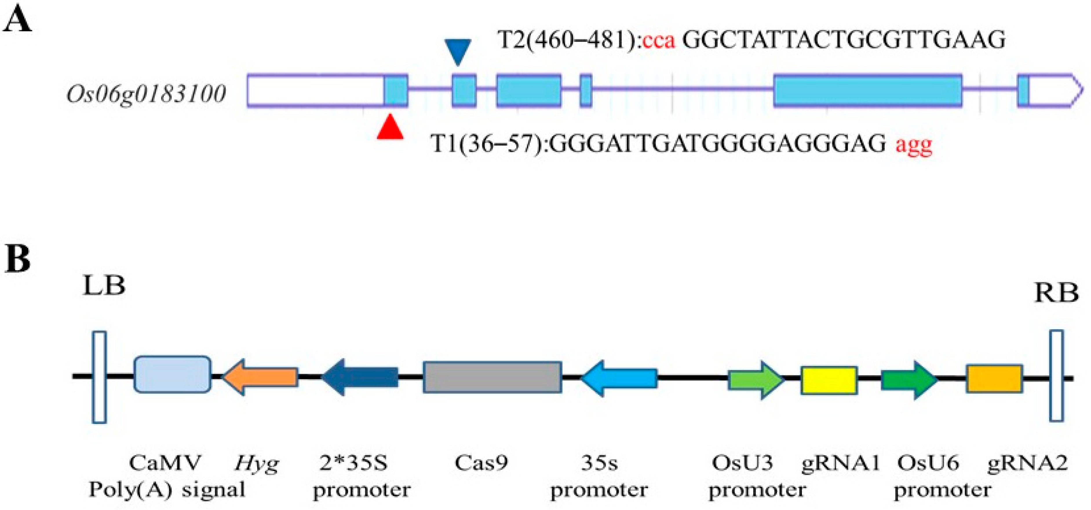 Sustainability 14 02621 g001