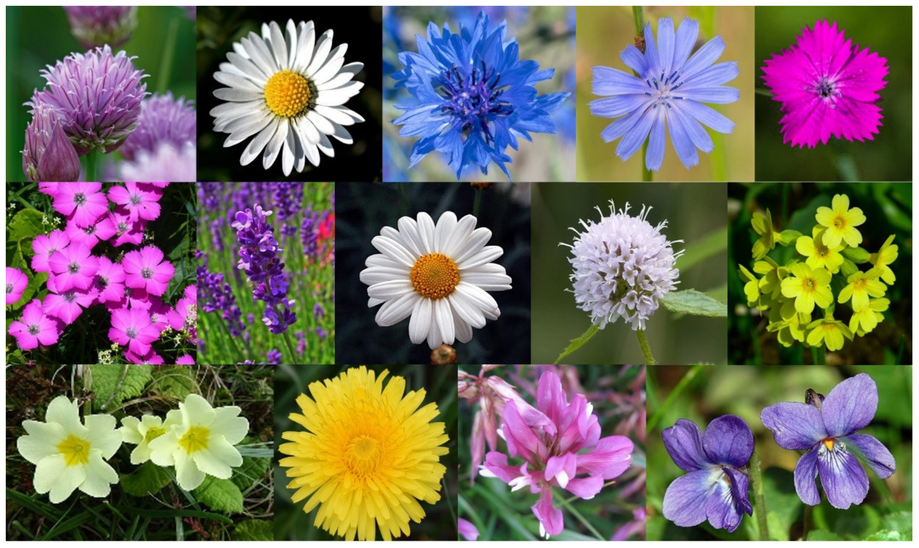 Sustainability 14 02641 g001