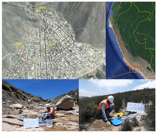 Identification and Characterization of Peruvian Native
