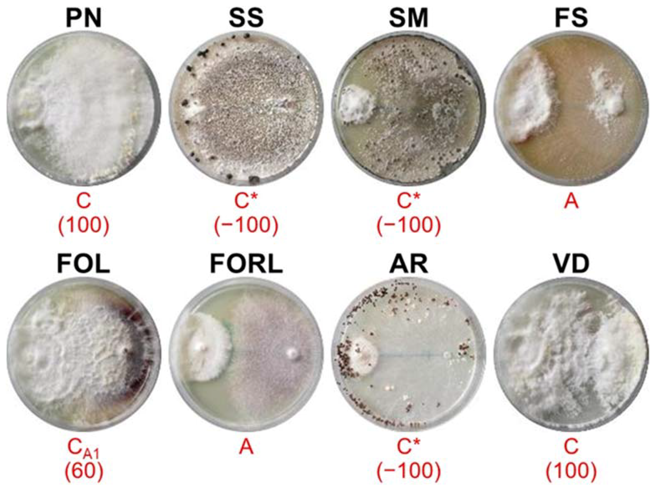 Sustainability 14 02693 g004 Sustainability 14 02693 g004