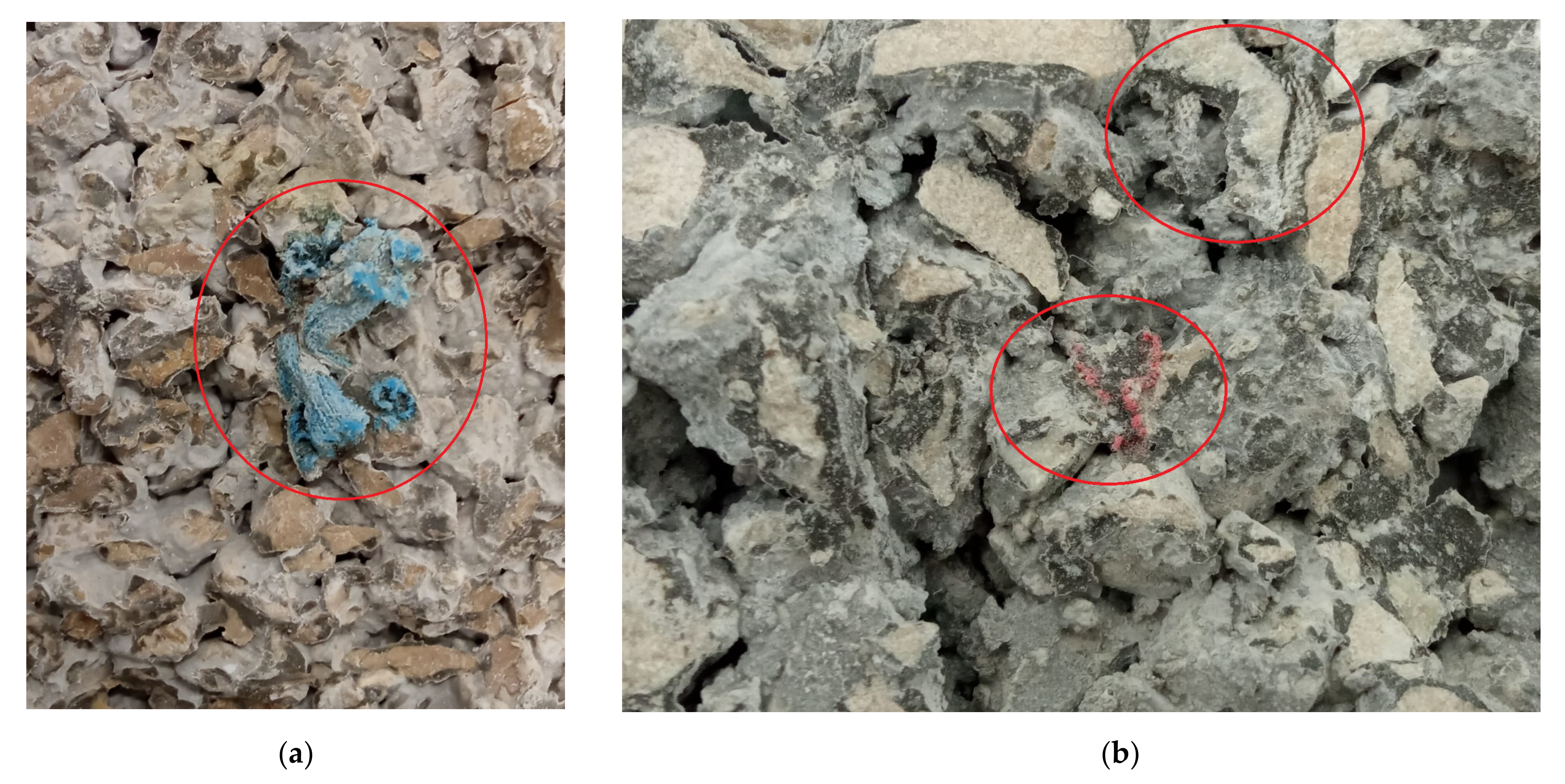 Sustainability 14 02723 g013