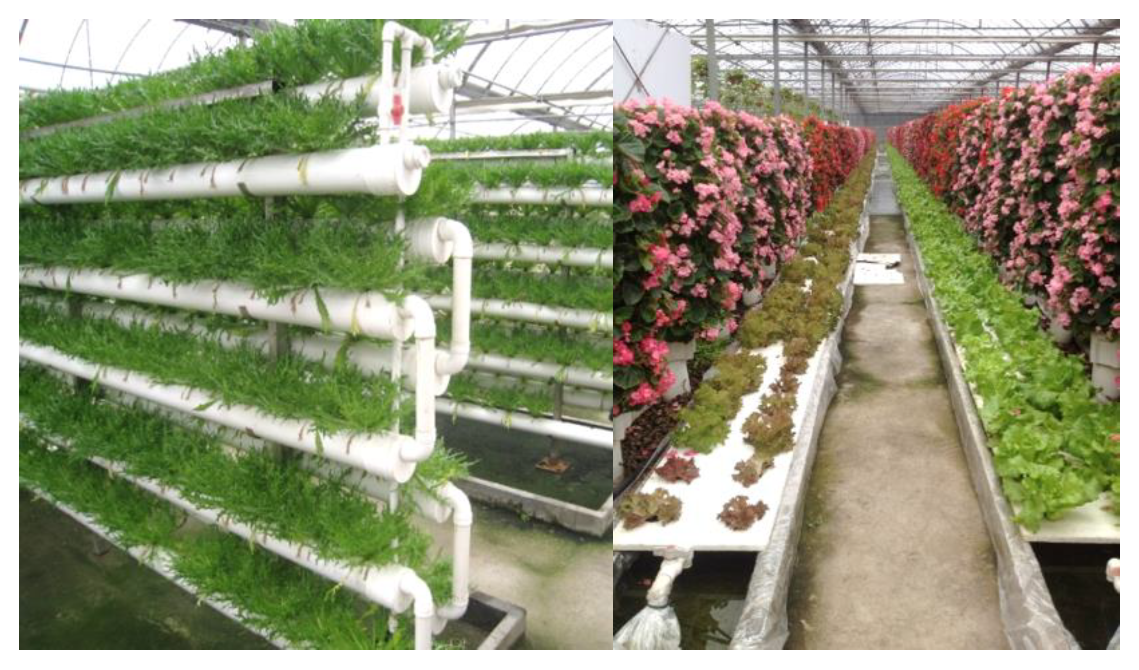 Sustainability 14 02771 g002 550