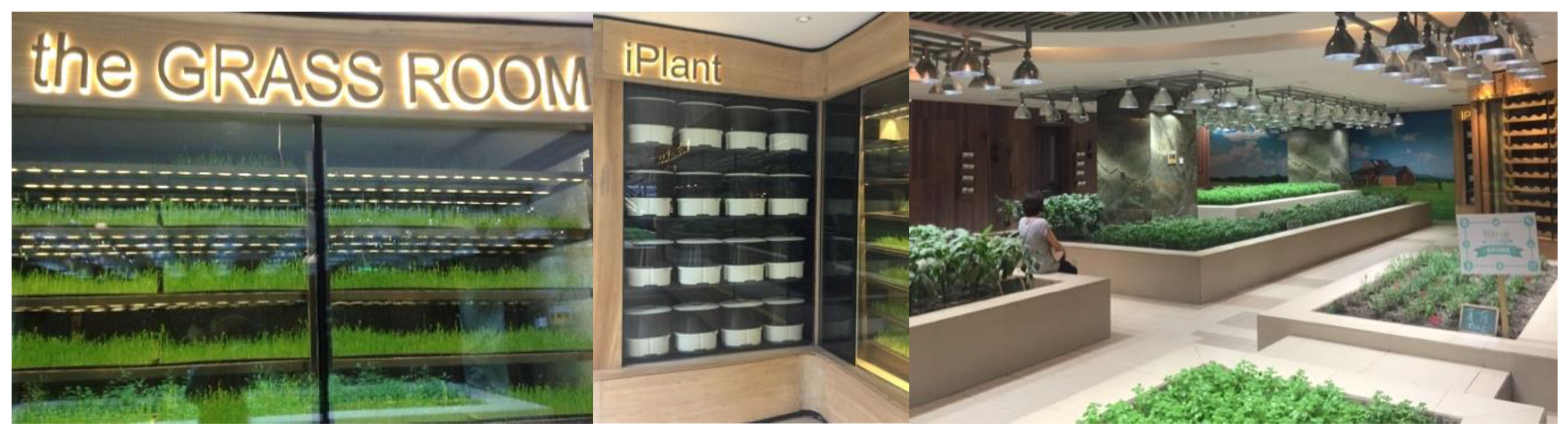 Sustainability 14 02771 g003 550