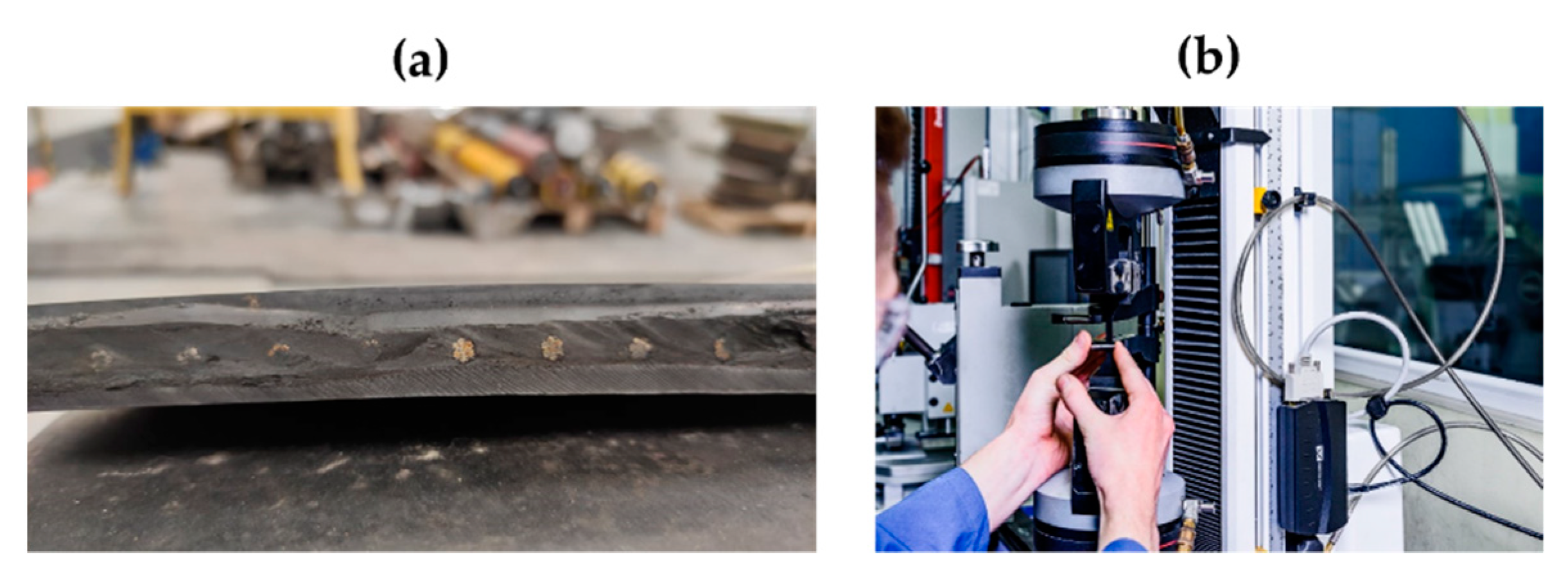 Sustainability 14 02785 g003