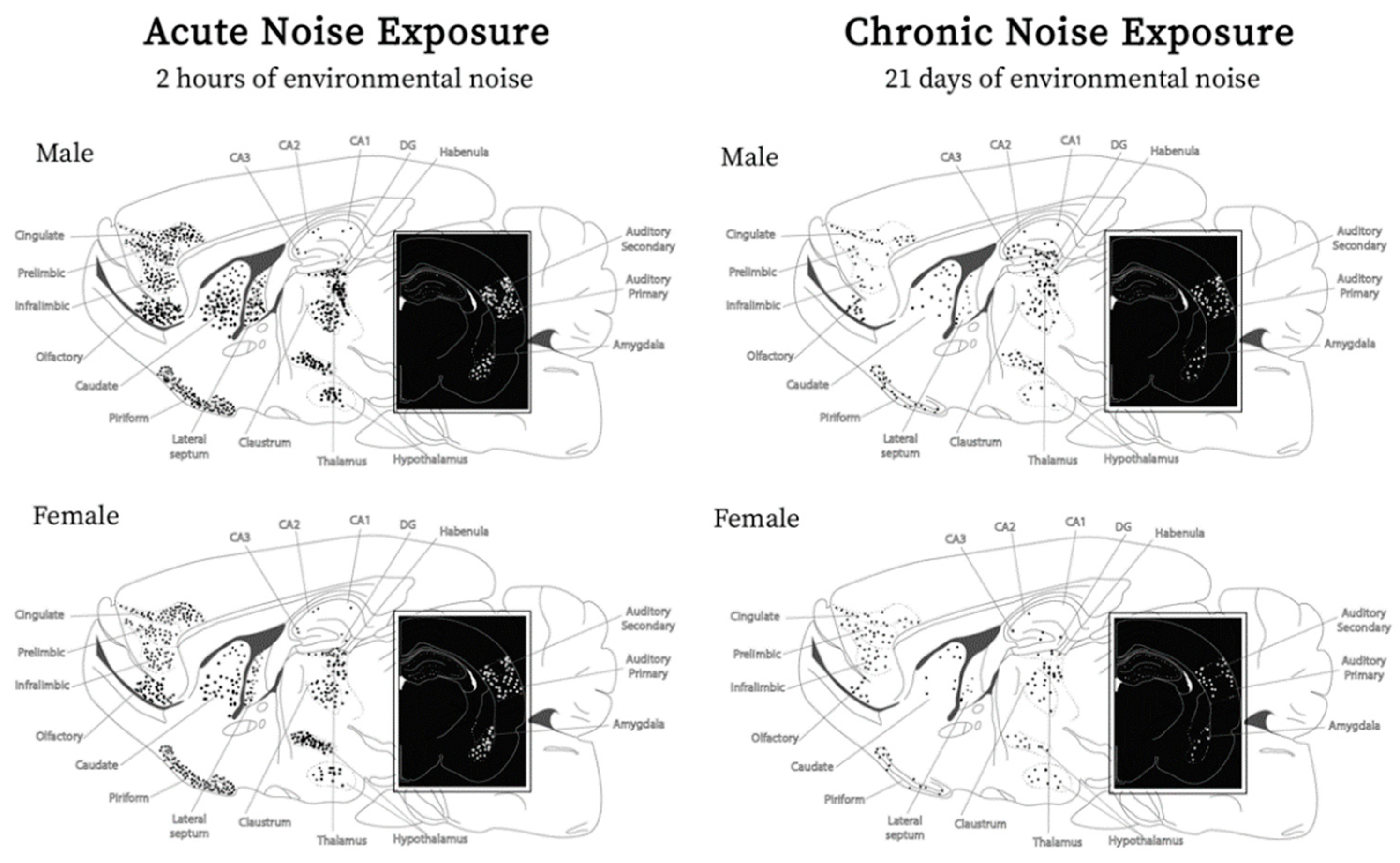 Sustainability 14 02798 g004