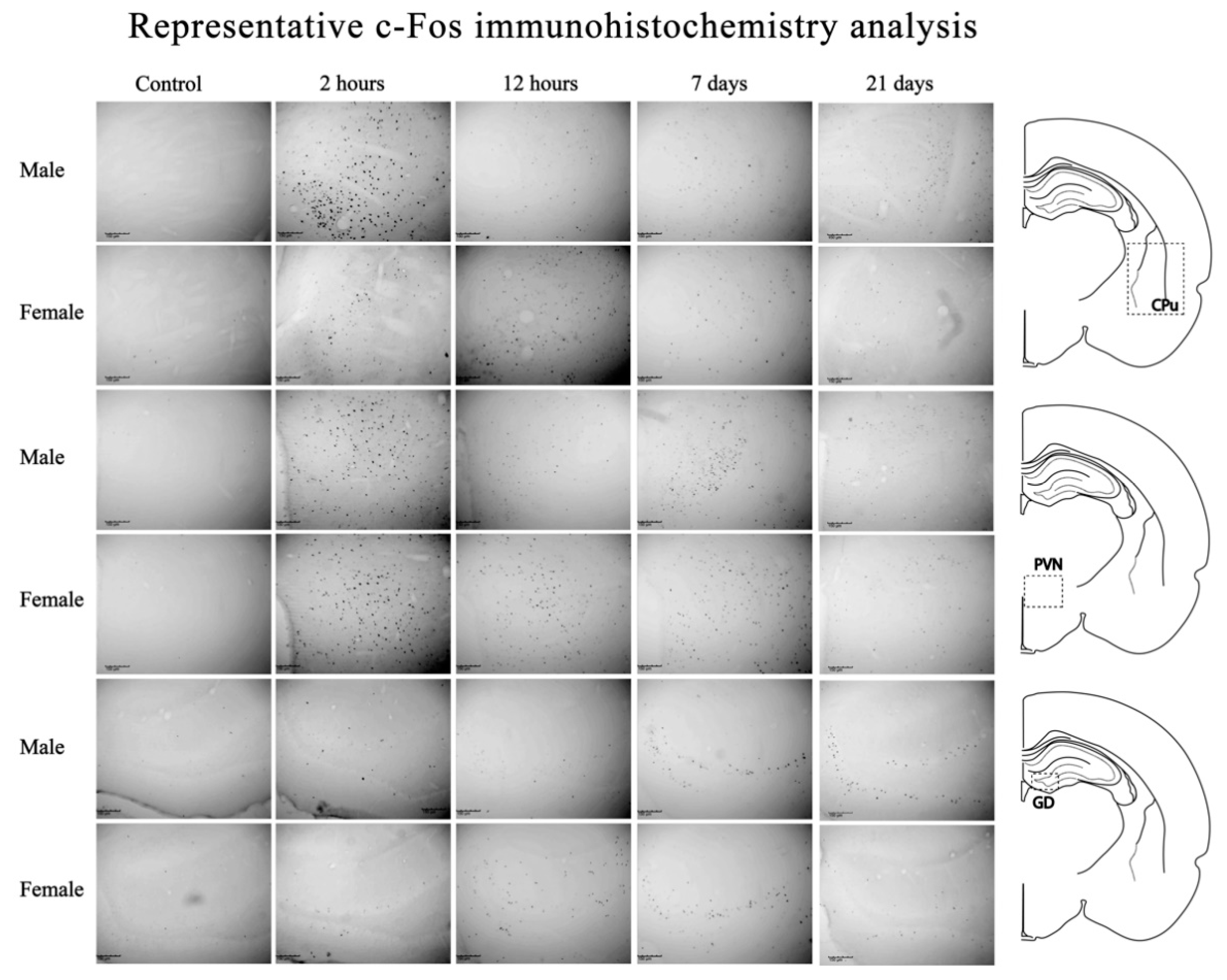 Sustainability 14 02798 g005
