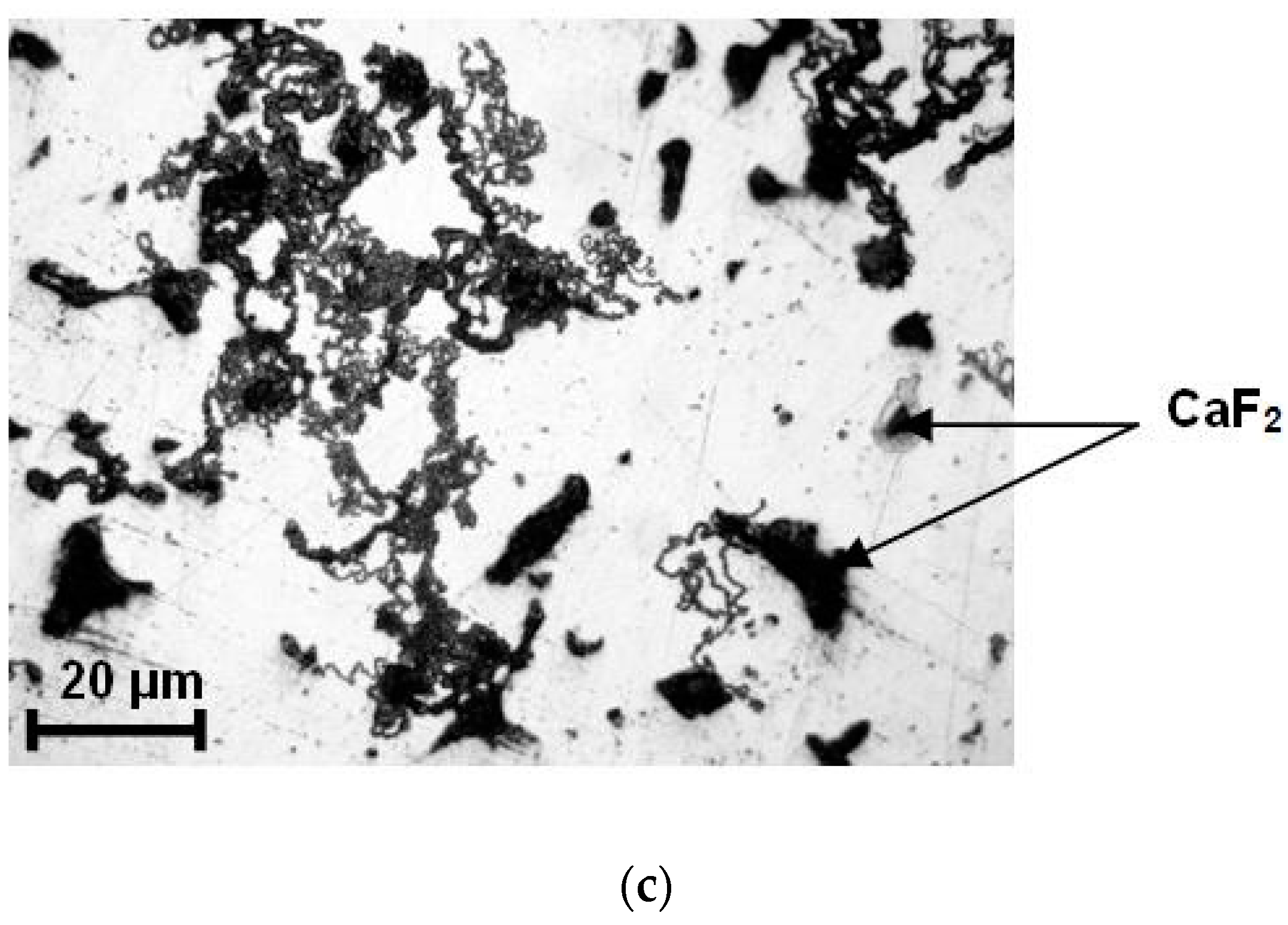 Sustainability 14 02799 g001b