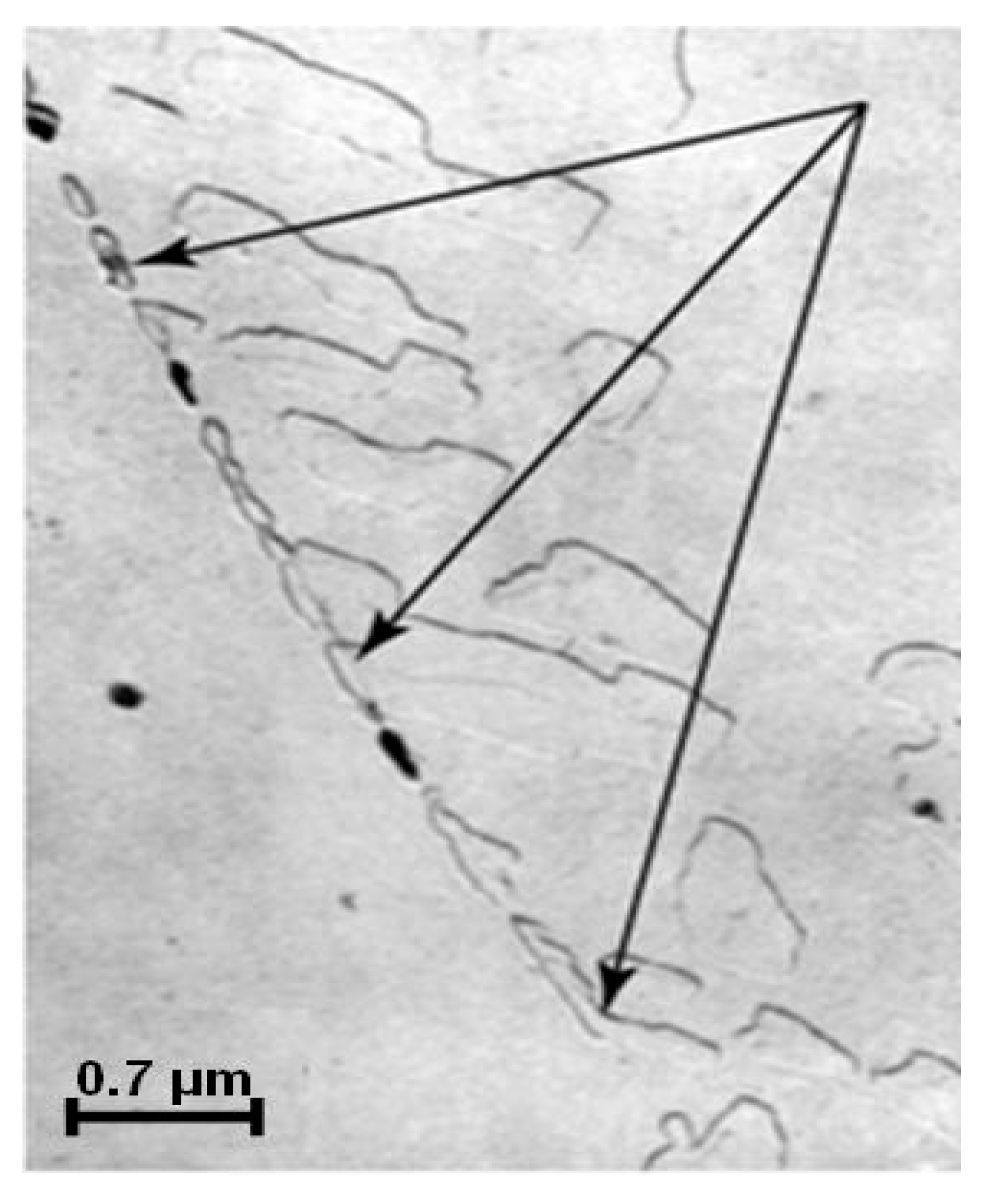 Sustainability 14 02799 g003