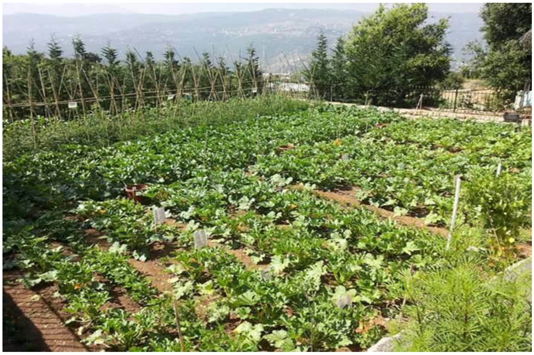 Sustainability 14 02811 g001