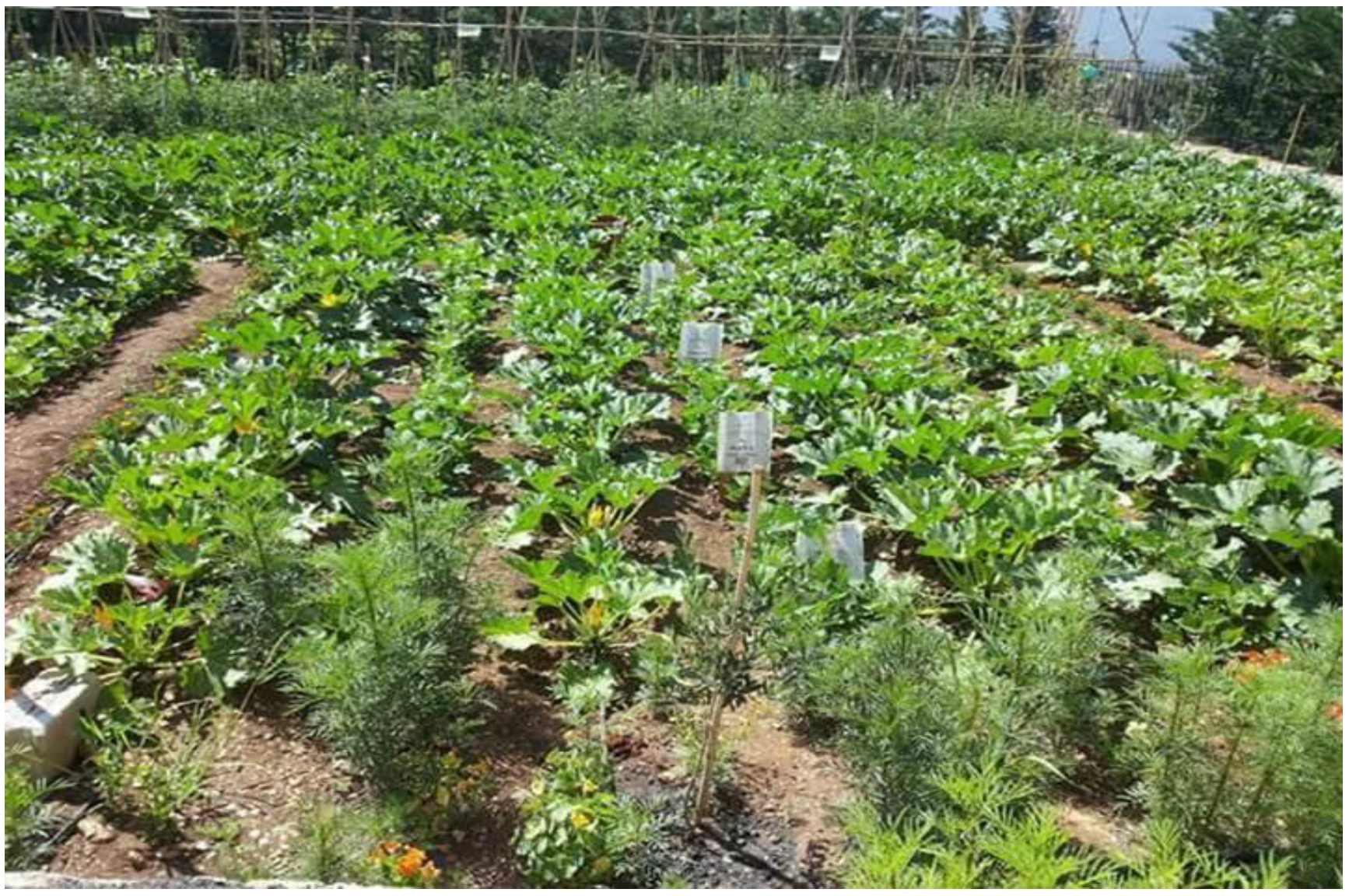 Sustainability 14 02811 g002