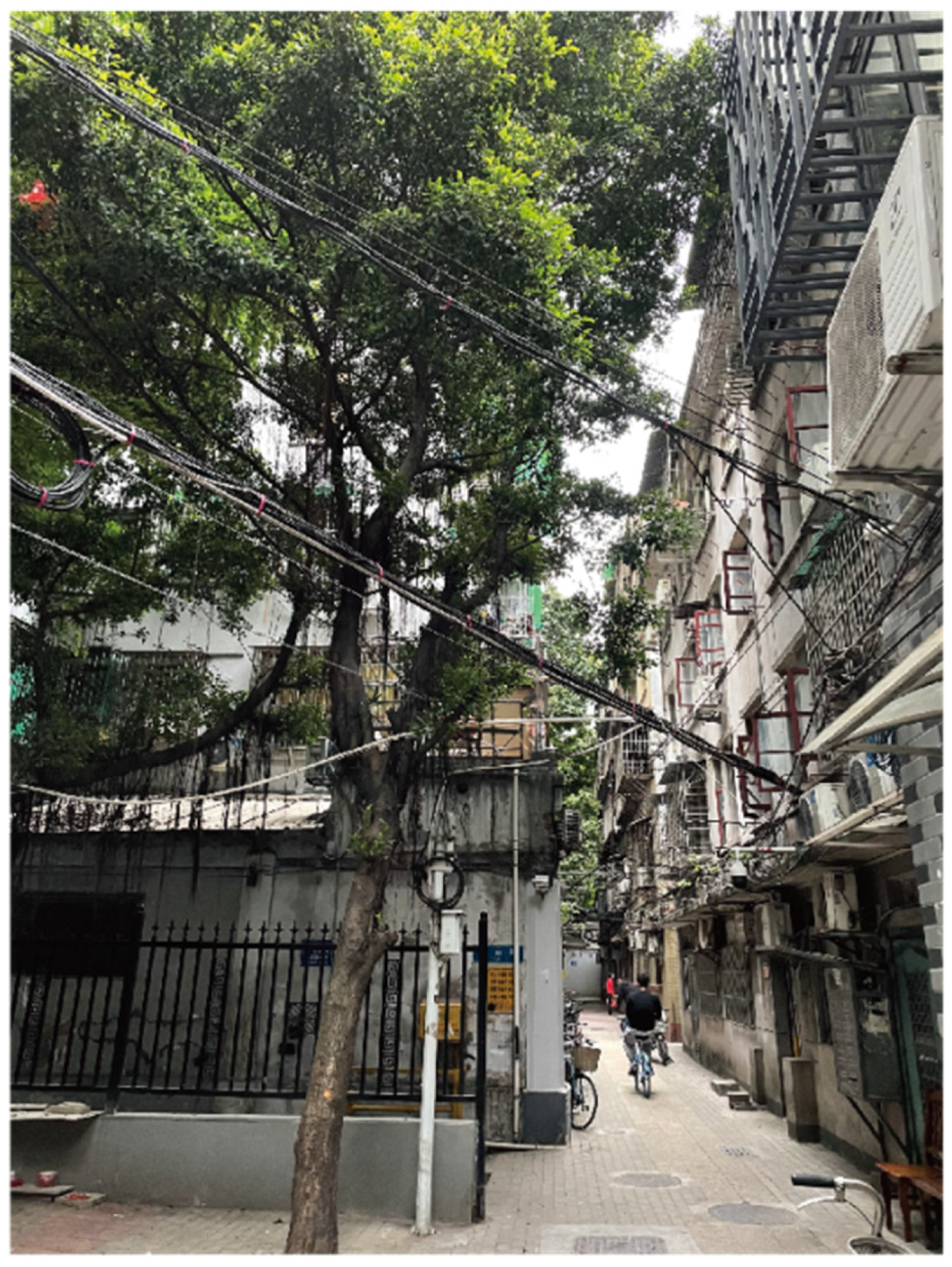 Sustainability 14 02813 g003