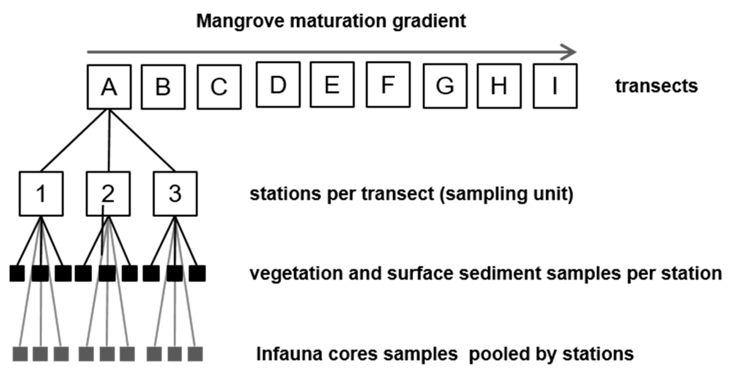 Sustainability 14 02829 g002 Sustainability 14 02829 g002