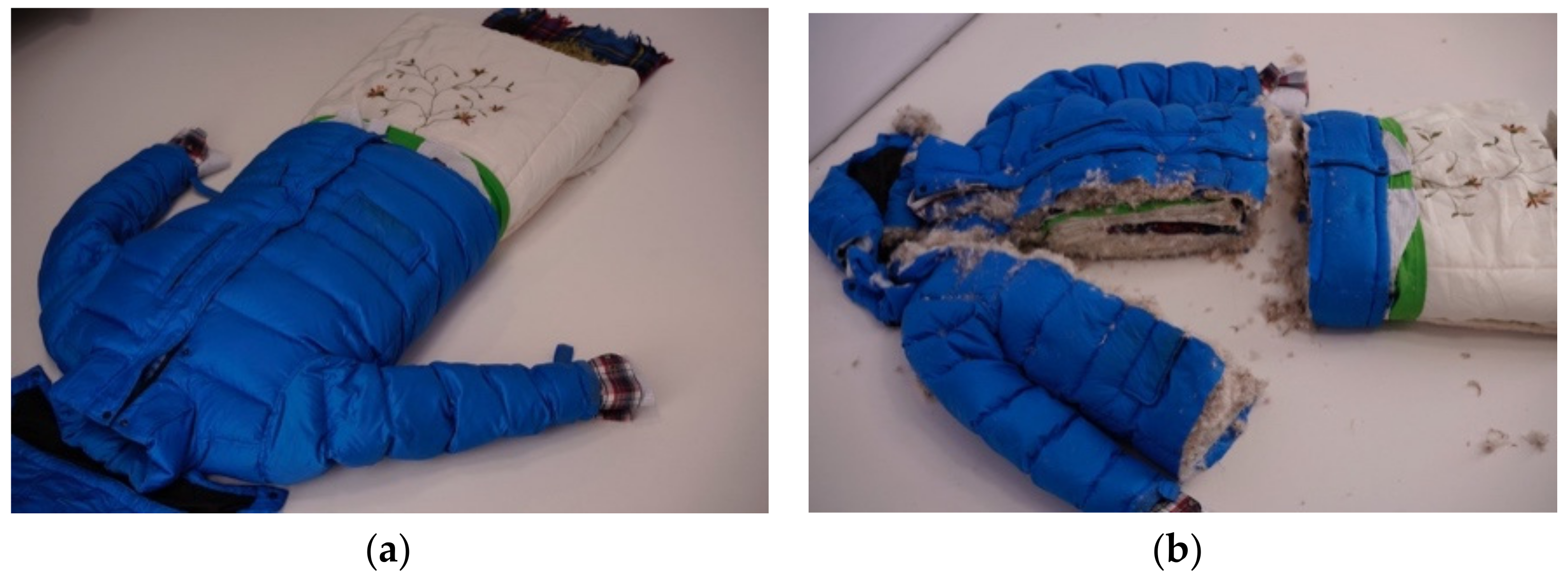 Sustainability 14 02906 g005a 550