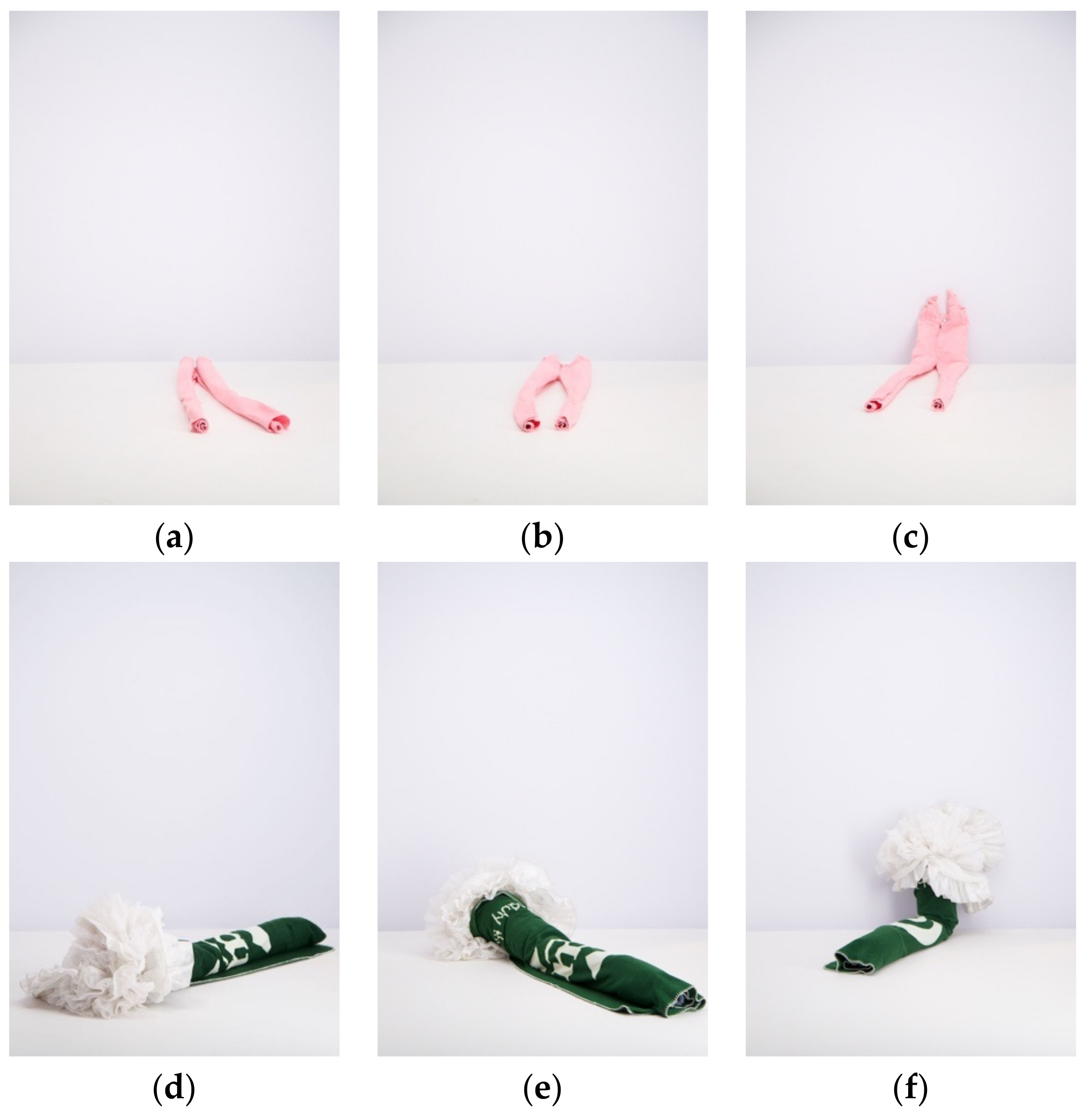 Sustainability 14 02906 g006a 550