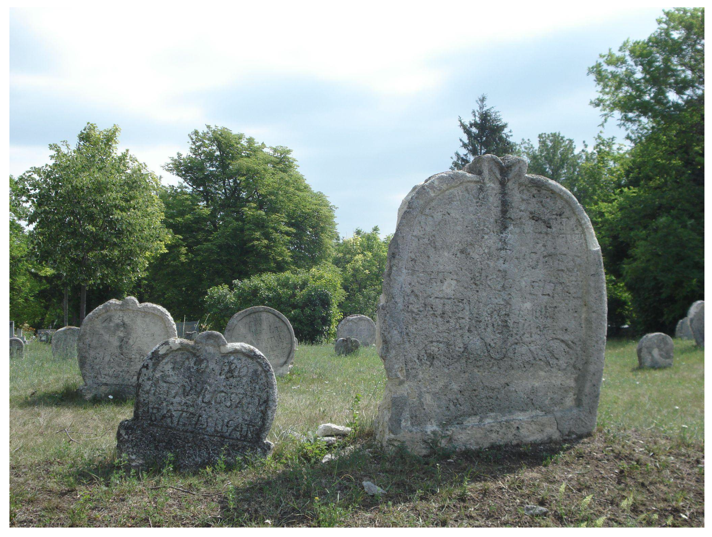 Sustainability 14 02918 g002