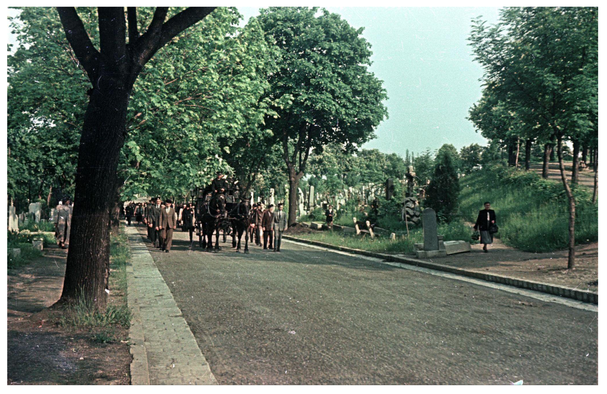 Sustainability 14 02918 g005