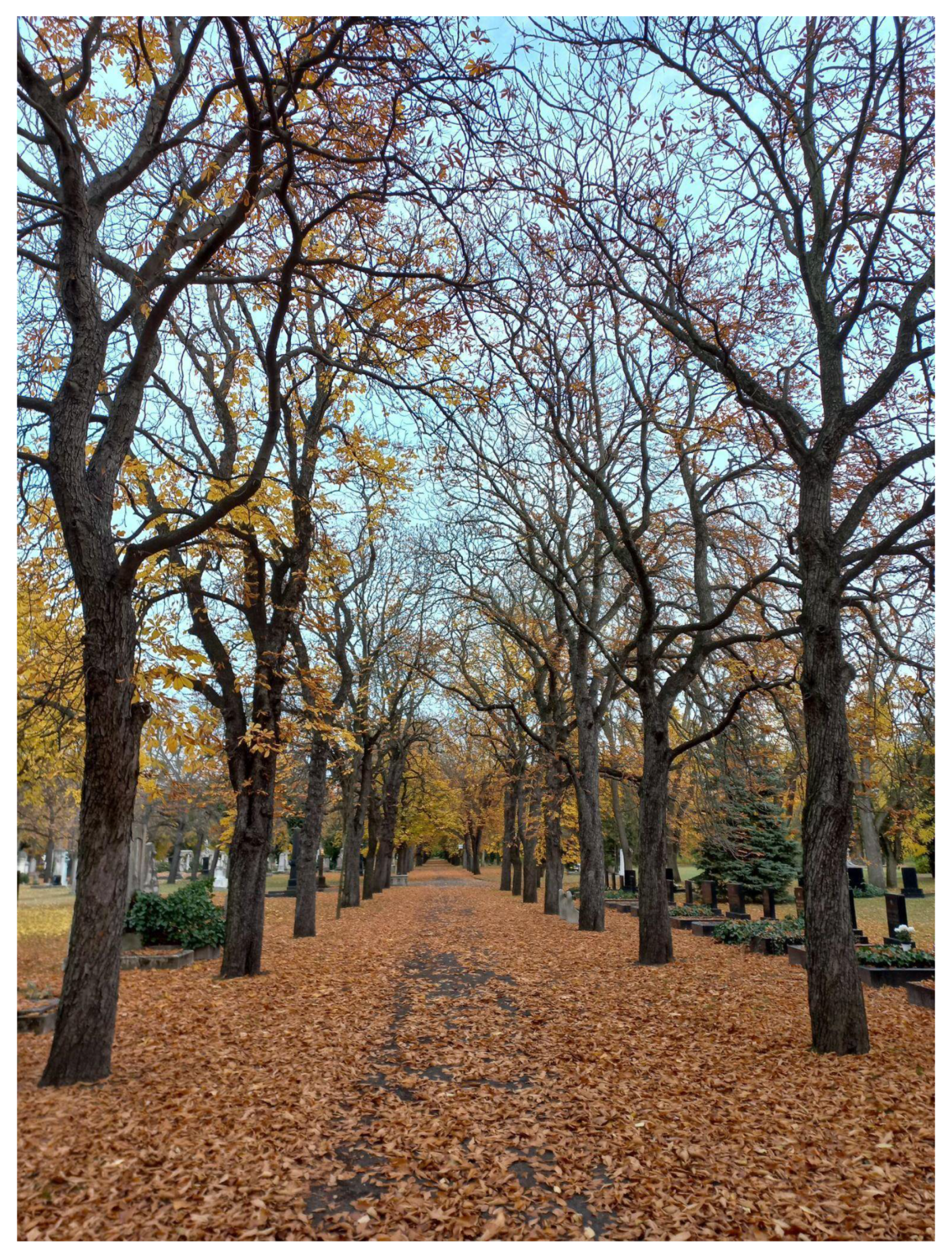 Sustainability 14 02918 g007