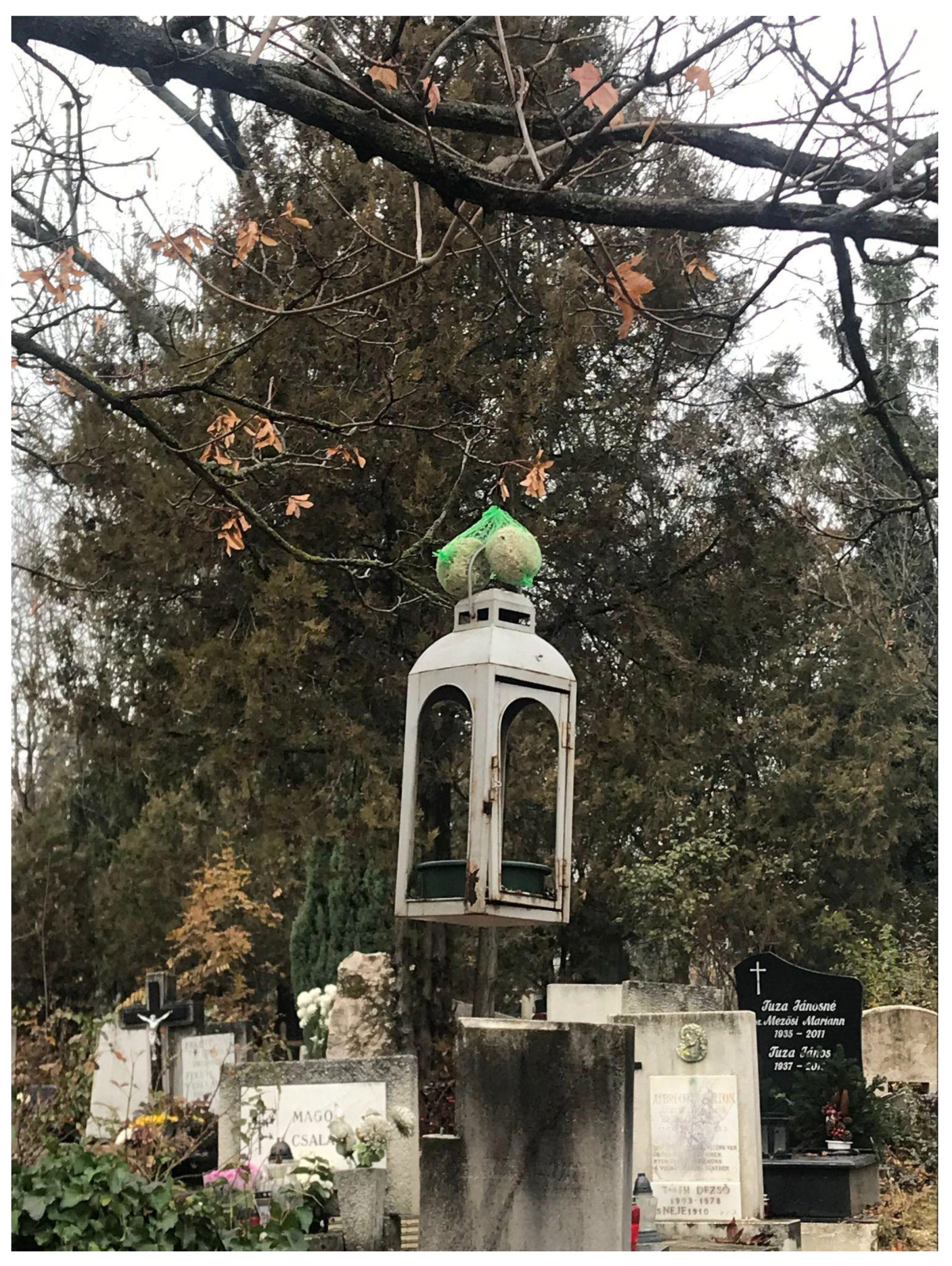 Sustainability 14 02918 g008