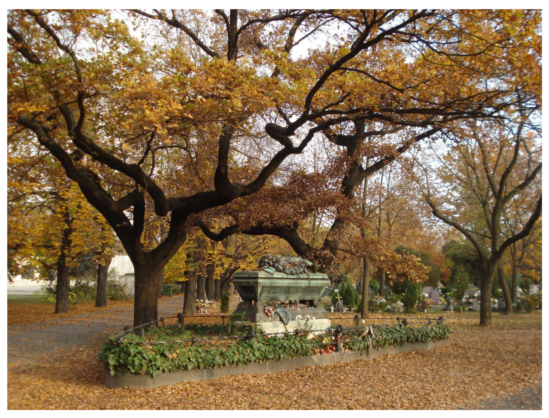 Sustainability 14 02918 g010