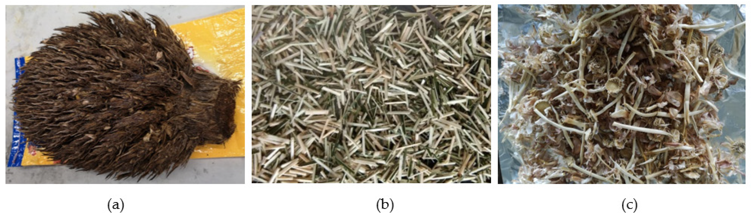 Sustainability 14 02919 g001 550