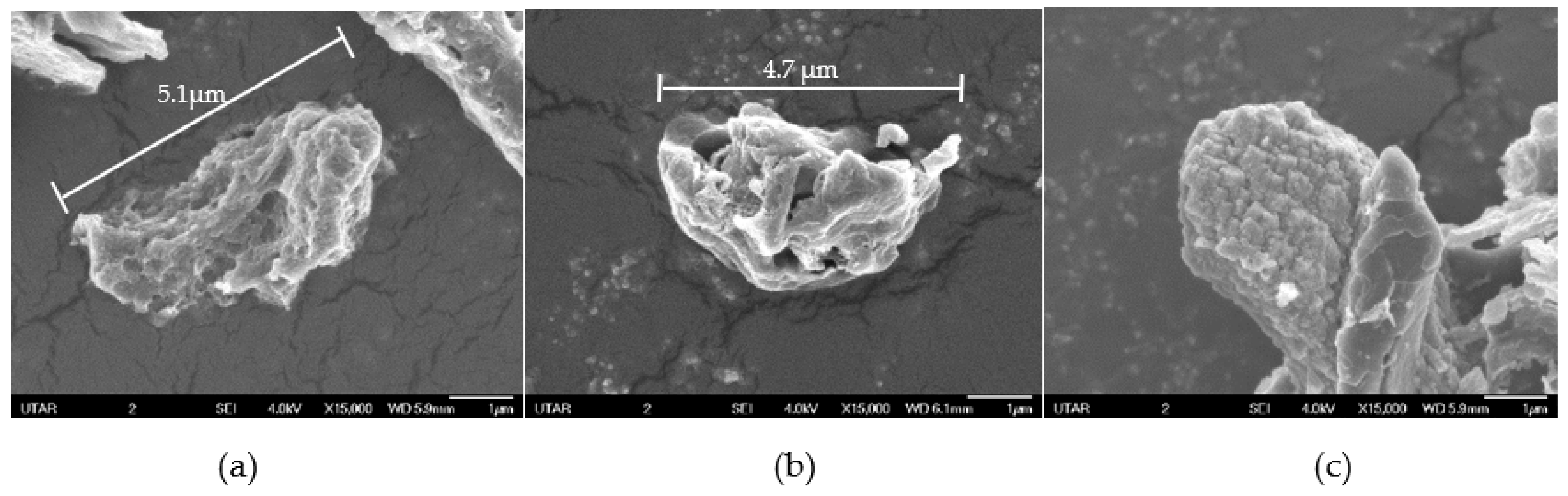 Sustainability 14 02919 g008a 550