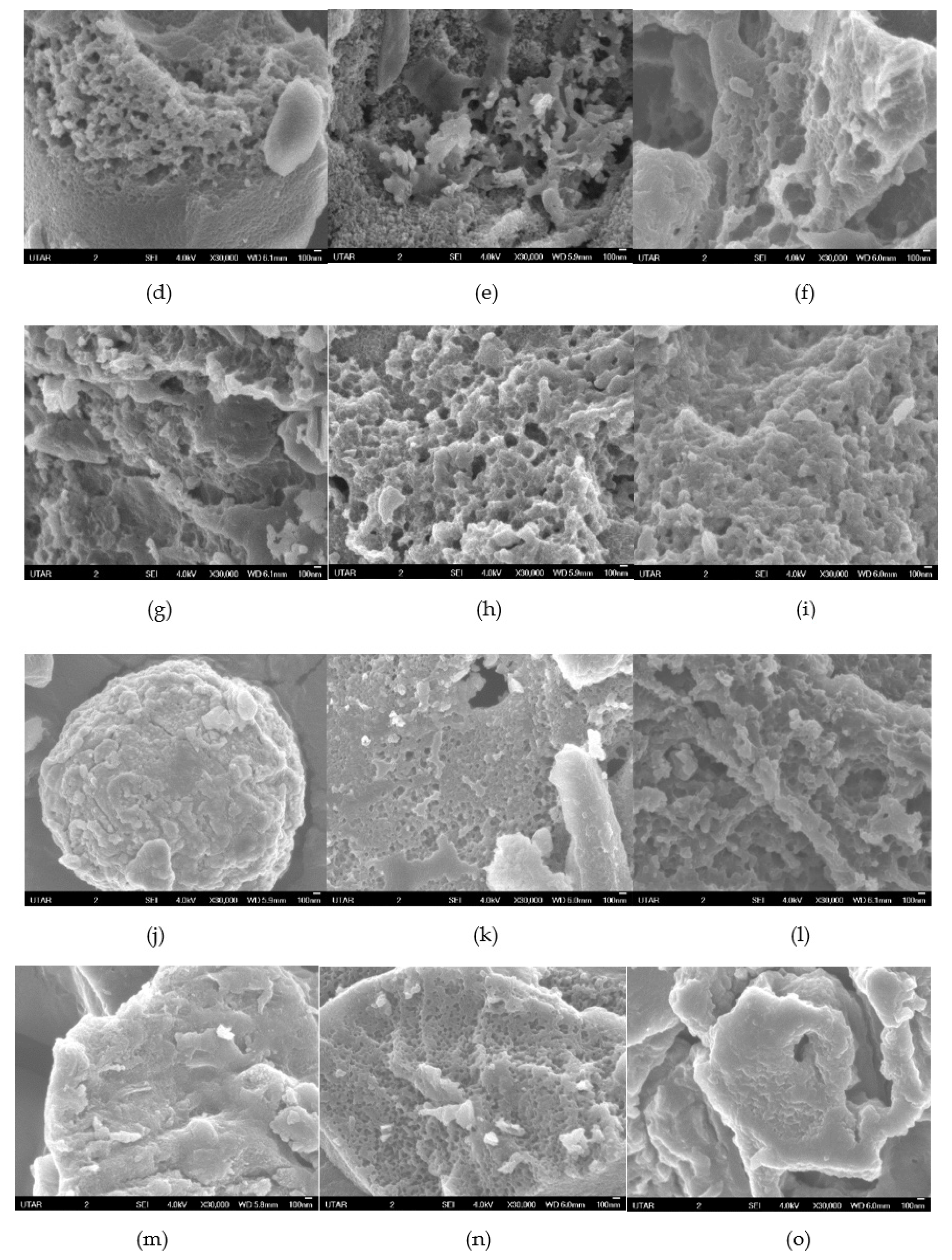 Sustainability 14 02919 g008b 550