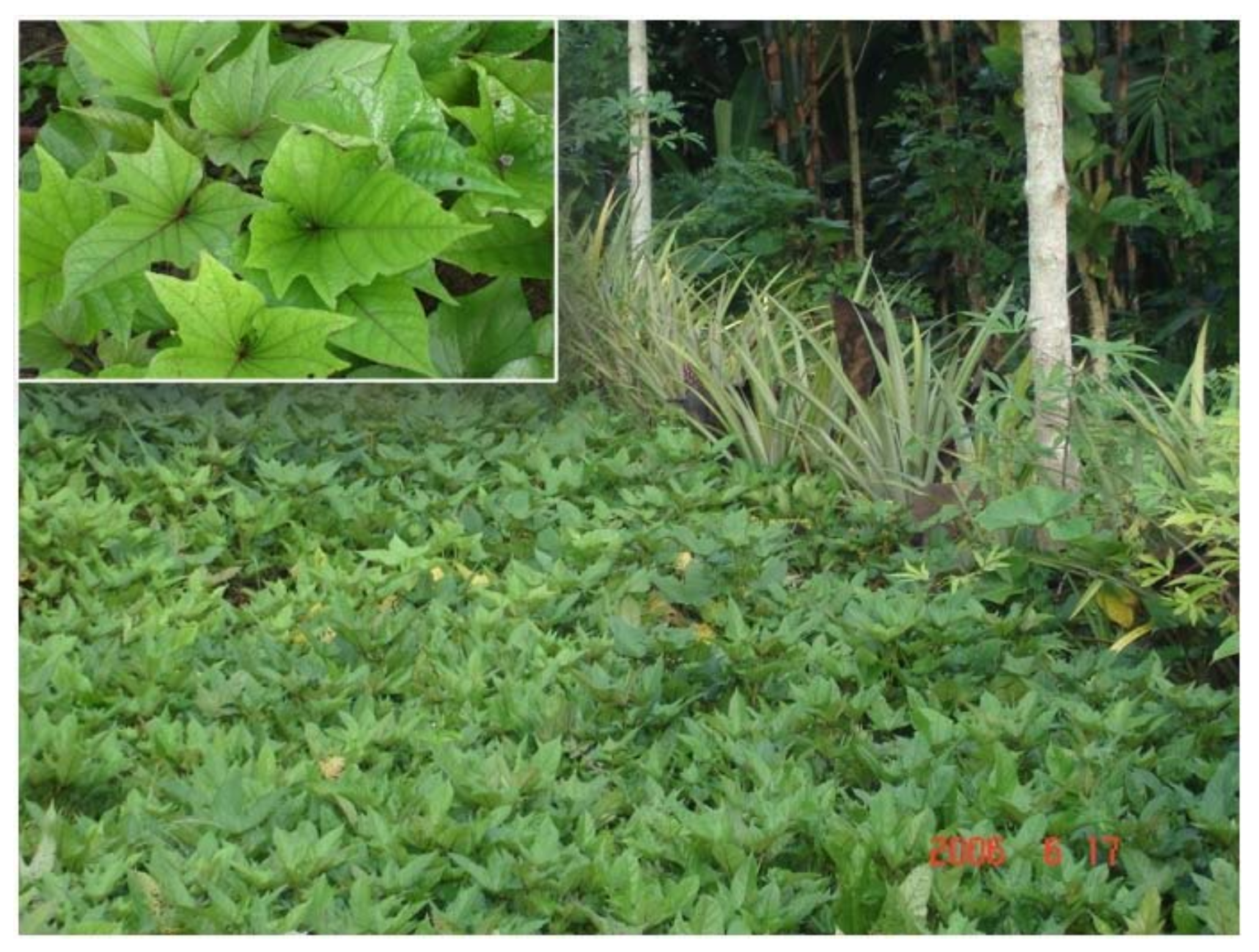 Sustainability 14 02972 g005 Sustainability 14 02972 g005