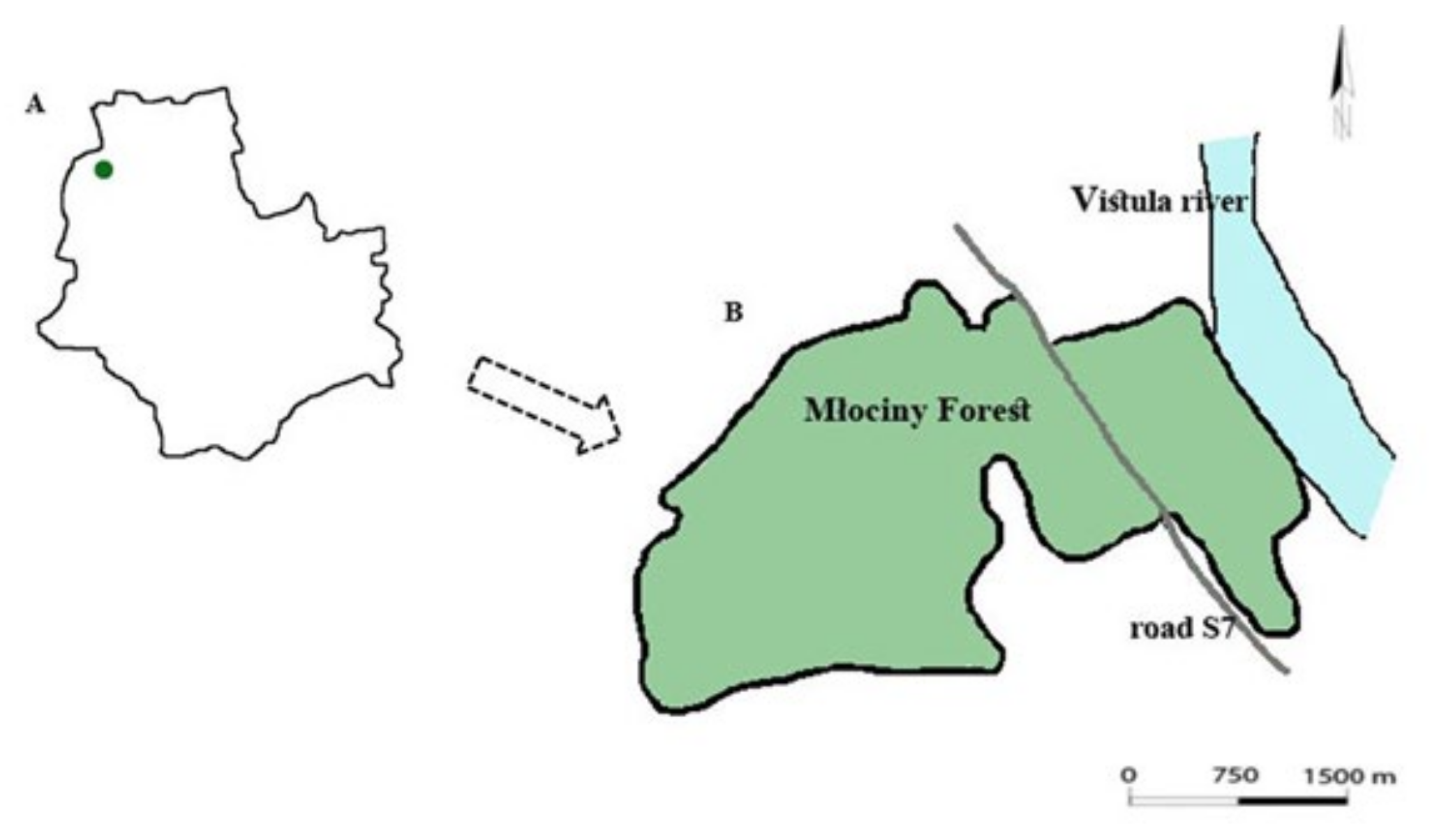 Sustainability 14 02973 g001 Sustainability 14 02973 g001