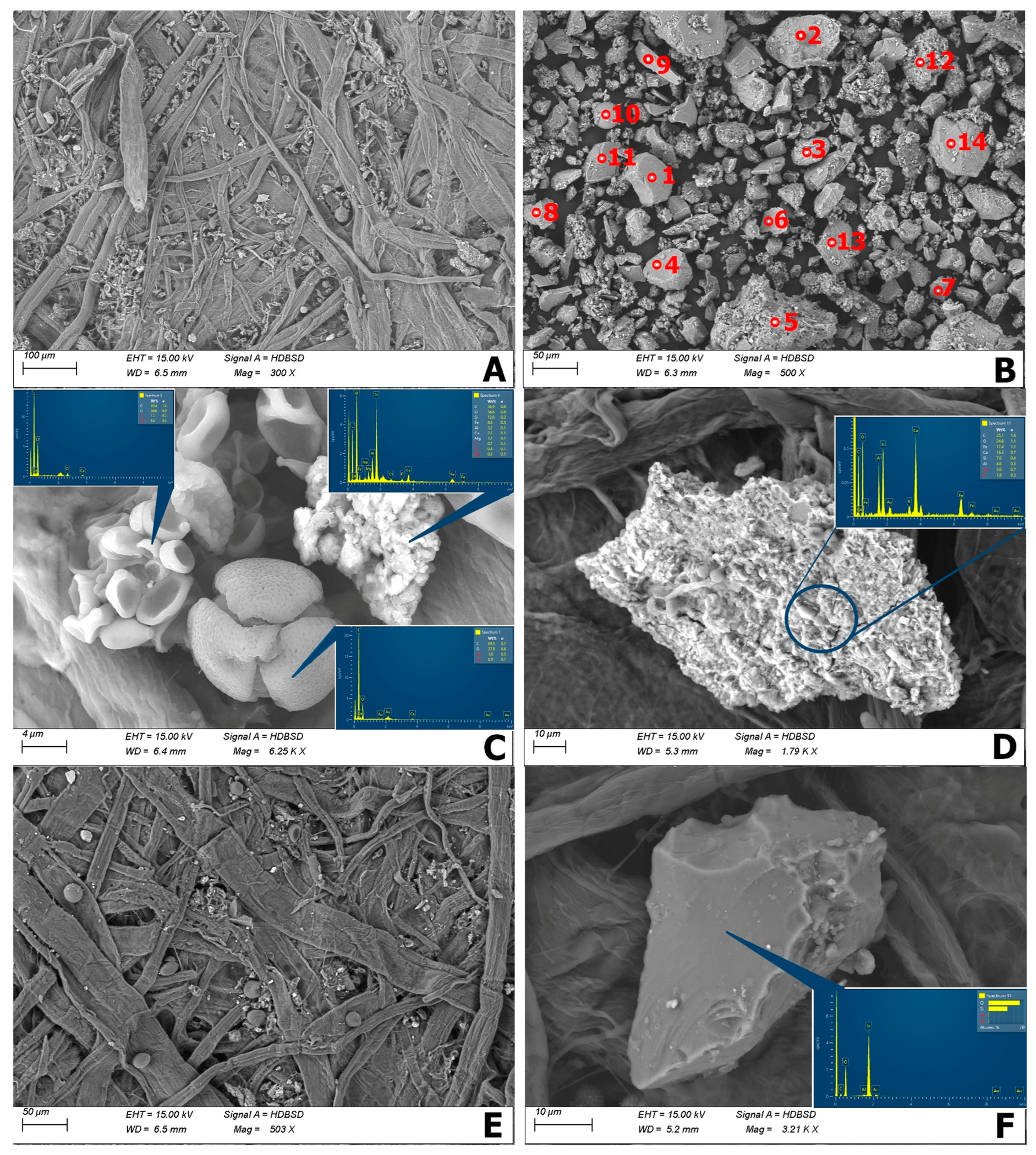 Sustainability 14 02973 g005 Sustainability 14 02973 g005