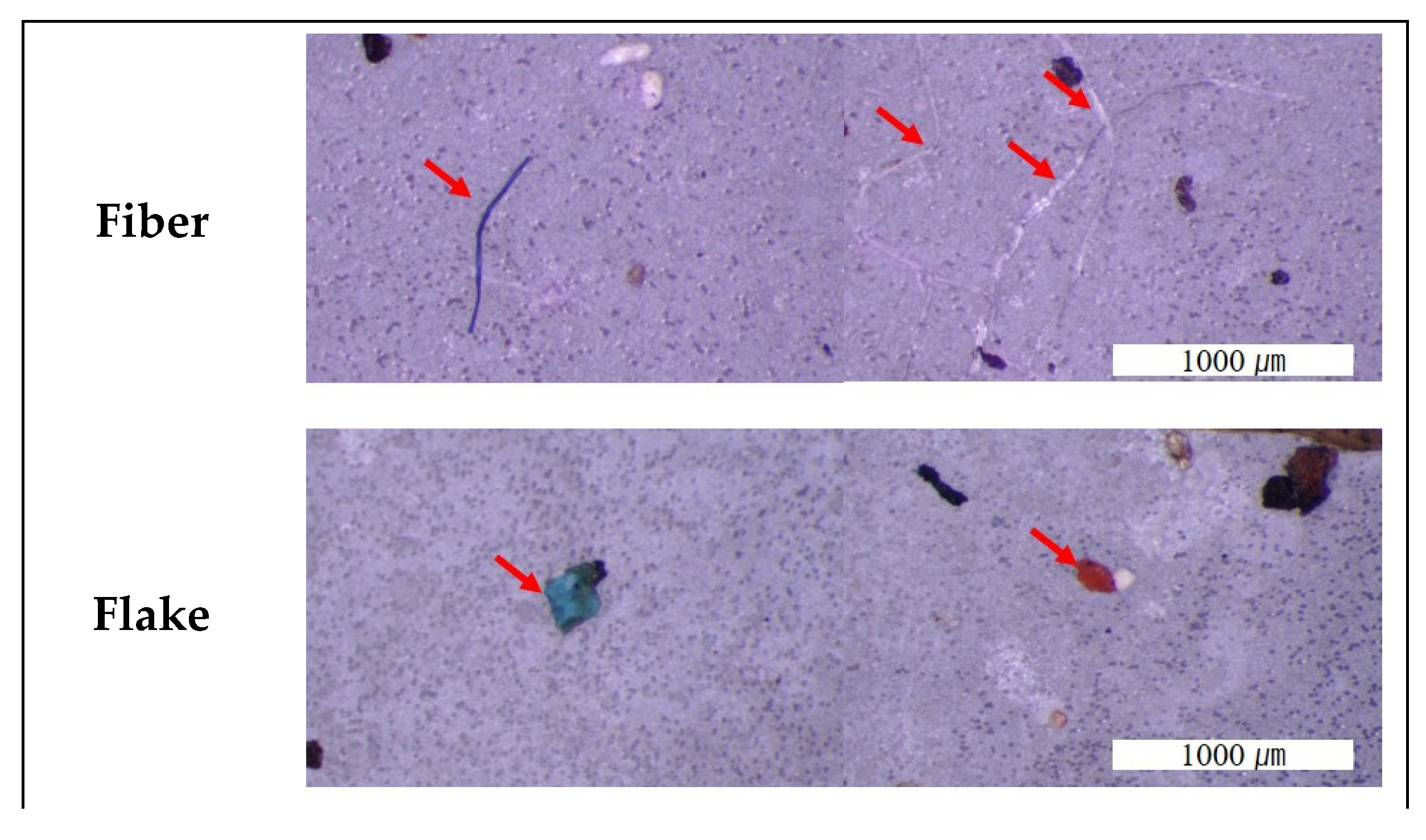 Sustainability 14 03006 g004a 550