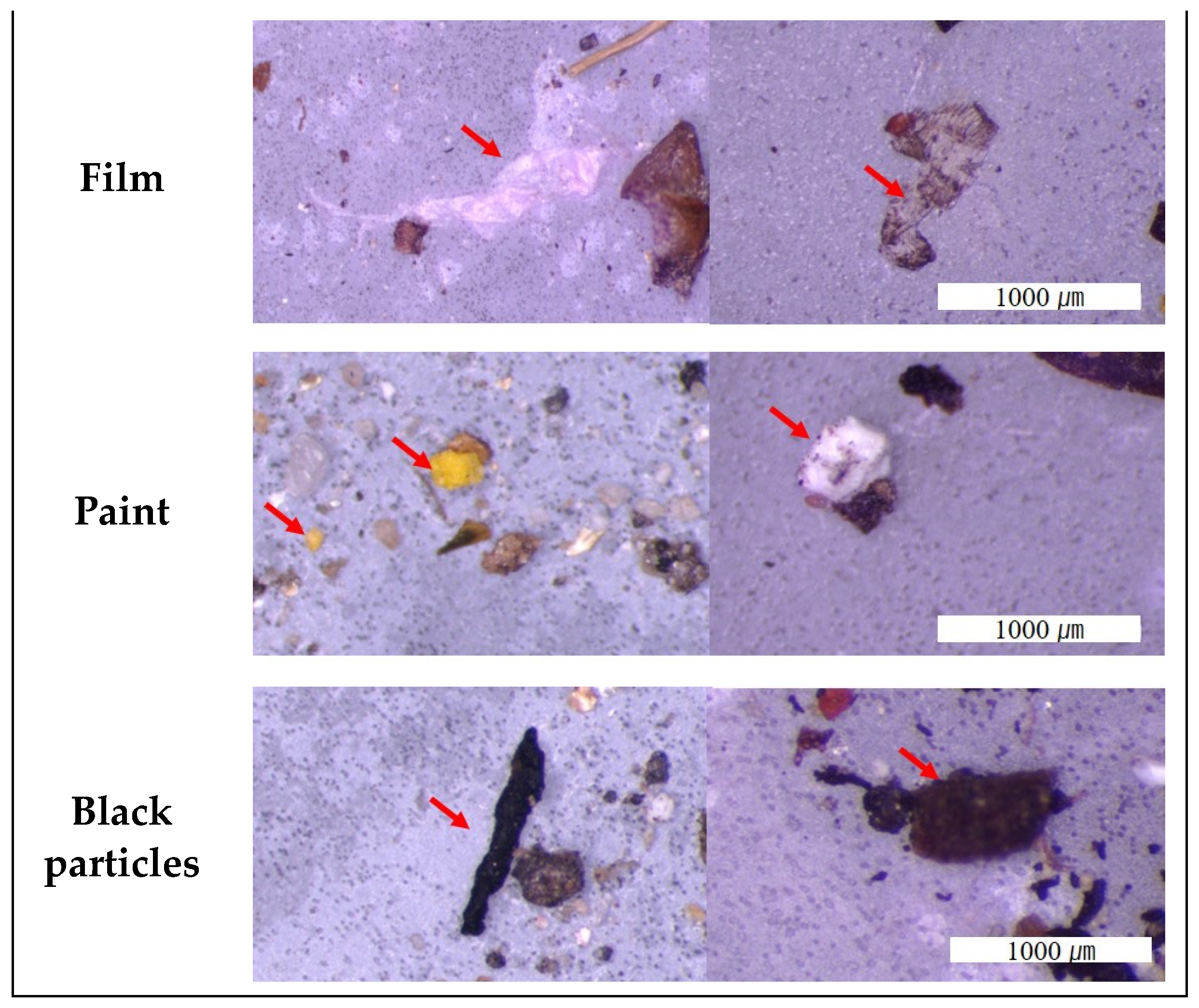 Sustainability 14 03006 g004b 550