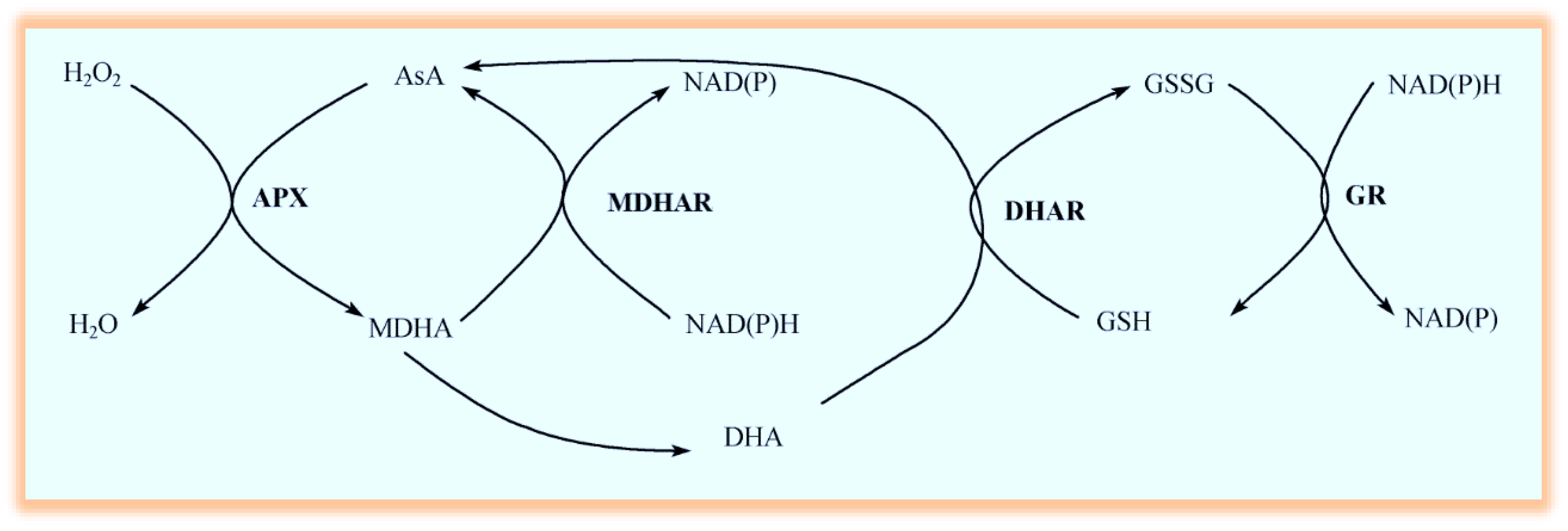 Sustainability 14 03071 g001