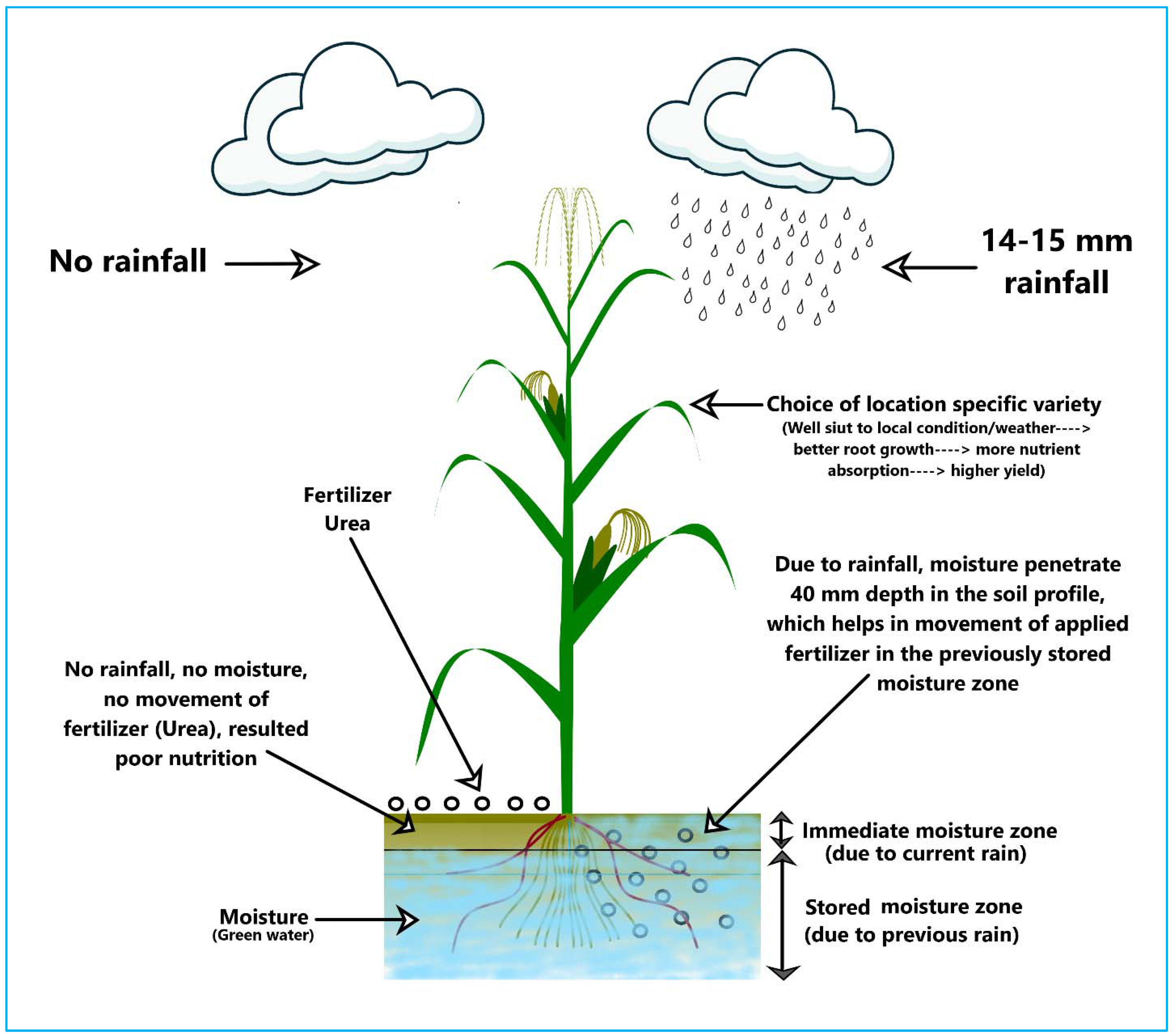 Sustainability 14 03116 g001