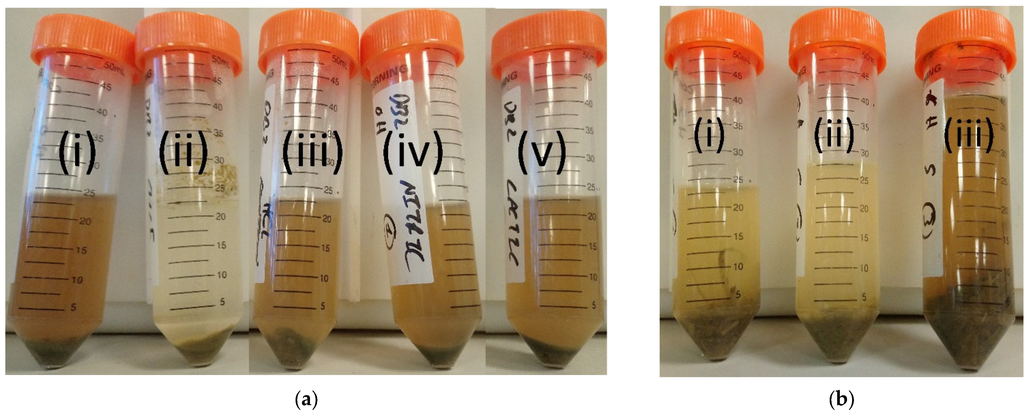 Sustainability 14 03127 g006