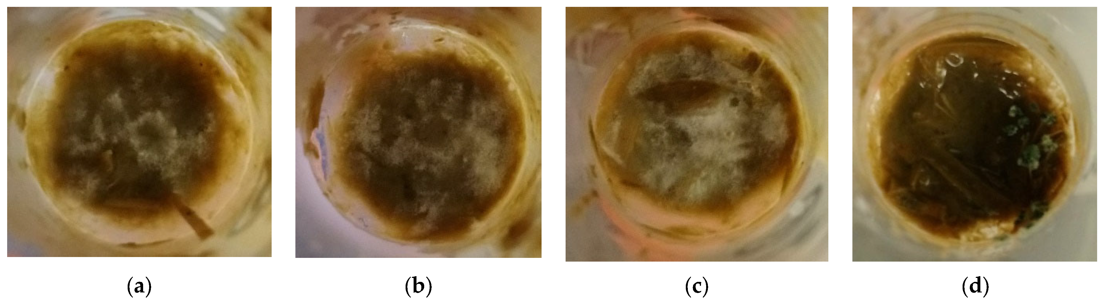 Sustainability 14 03127 g009
