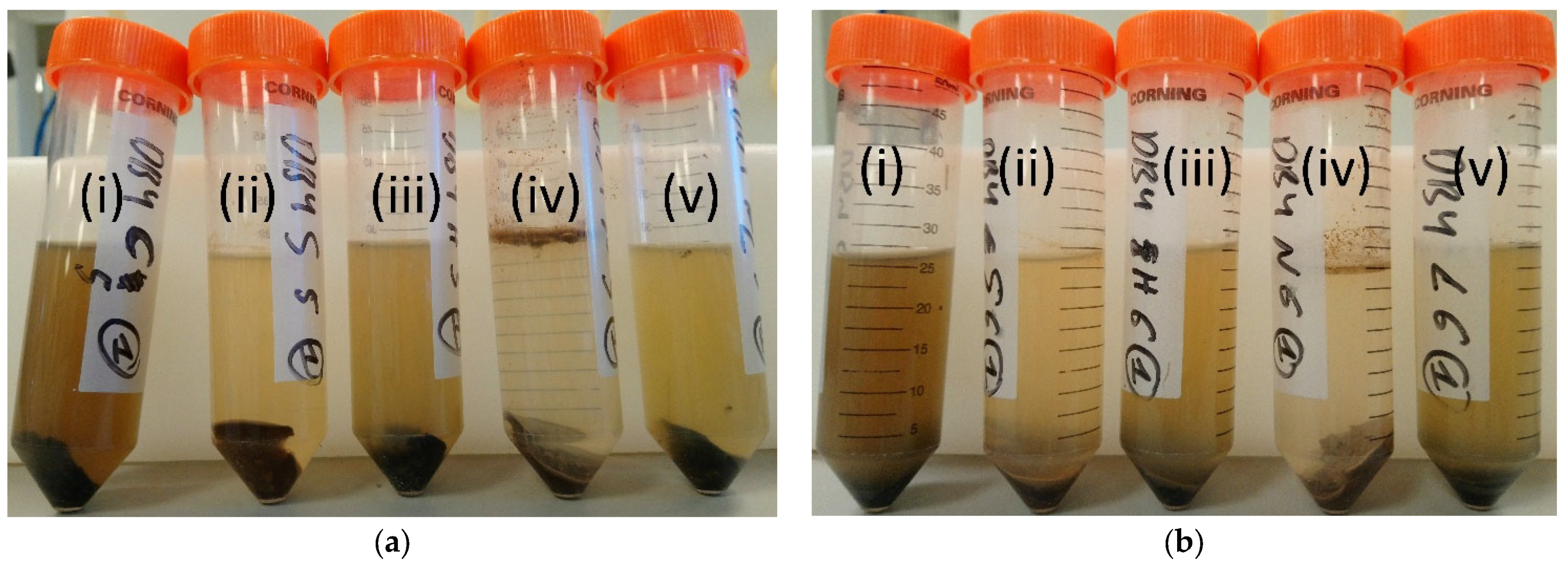 Sustainability 14 03127 g010