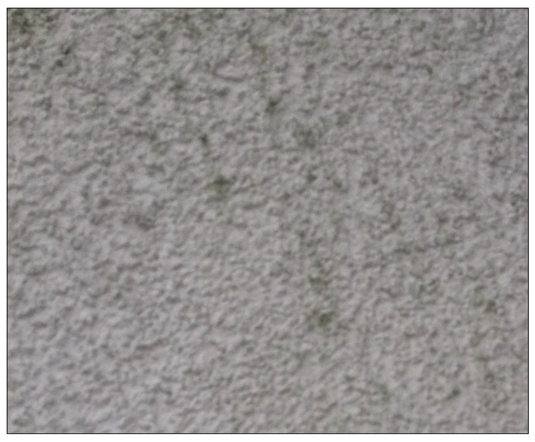 Sustainability 14 03135 g002