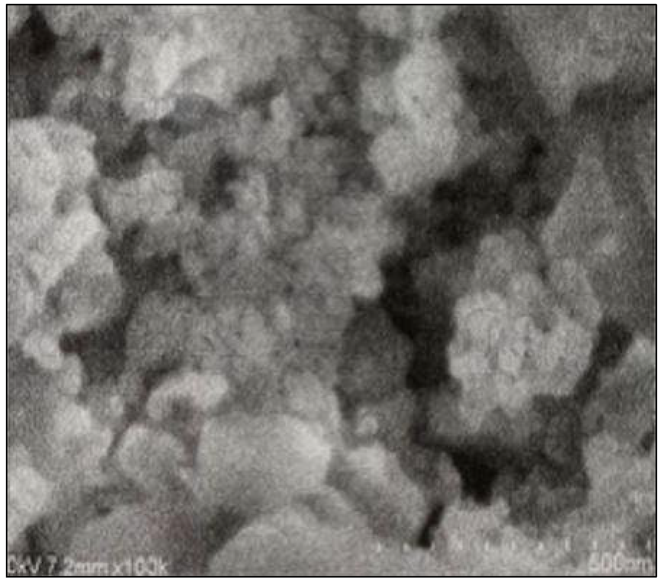 Sustainability 14 03135 g005