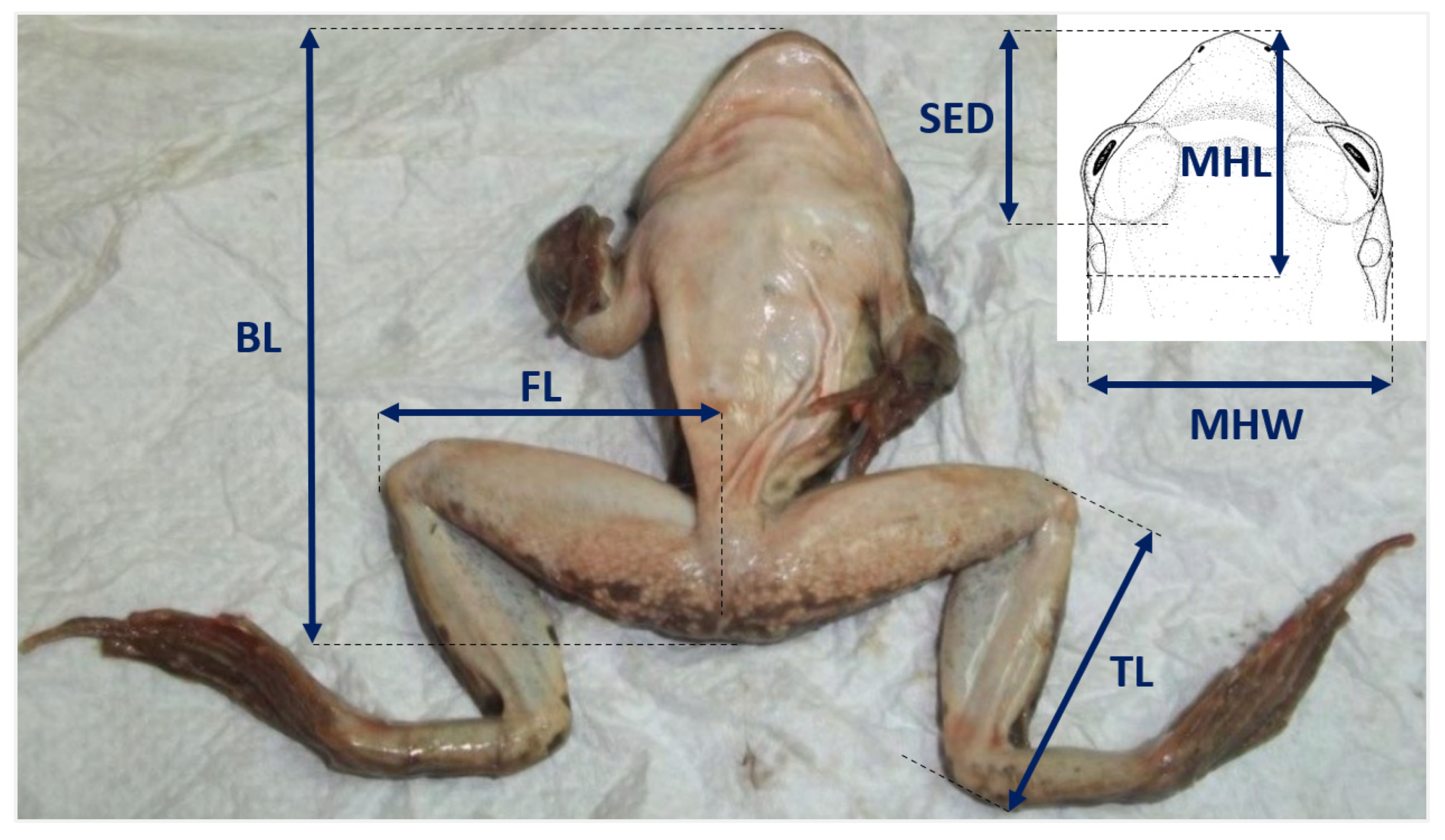 Sustainability 14 03150 g002