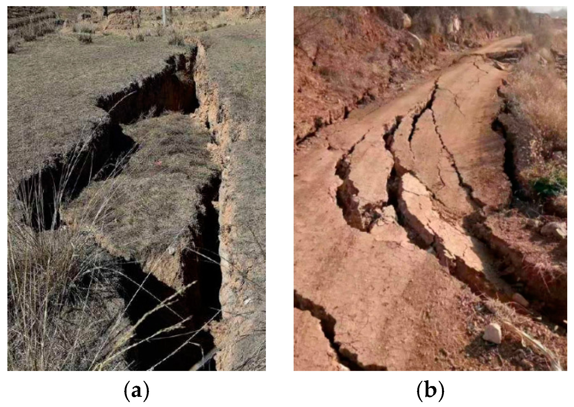 Sustainability 14 03166 g001 550