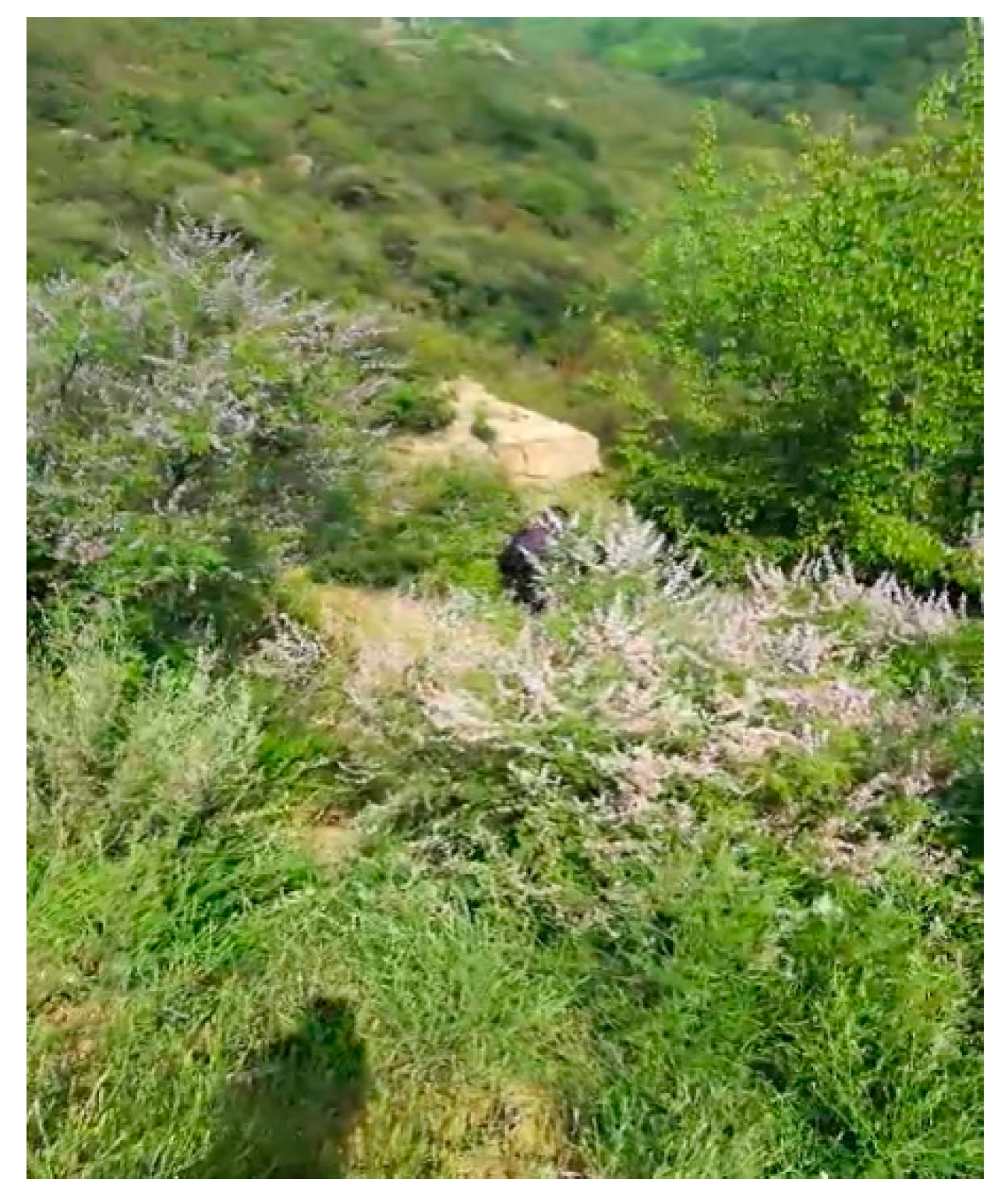 Sustainability 14 03166 g002 550