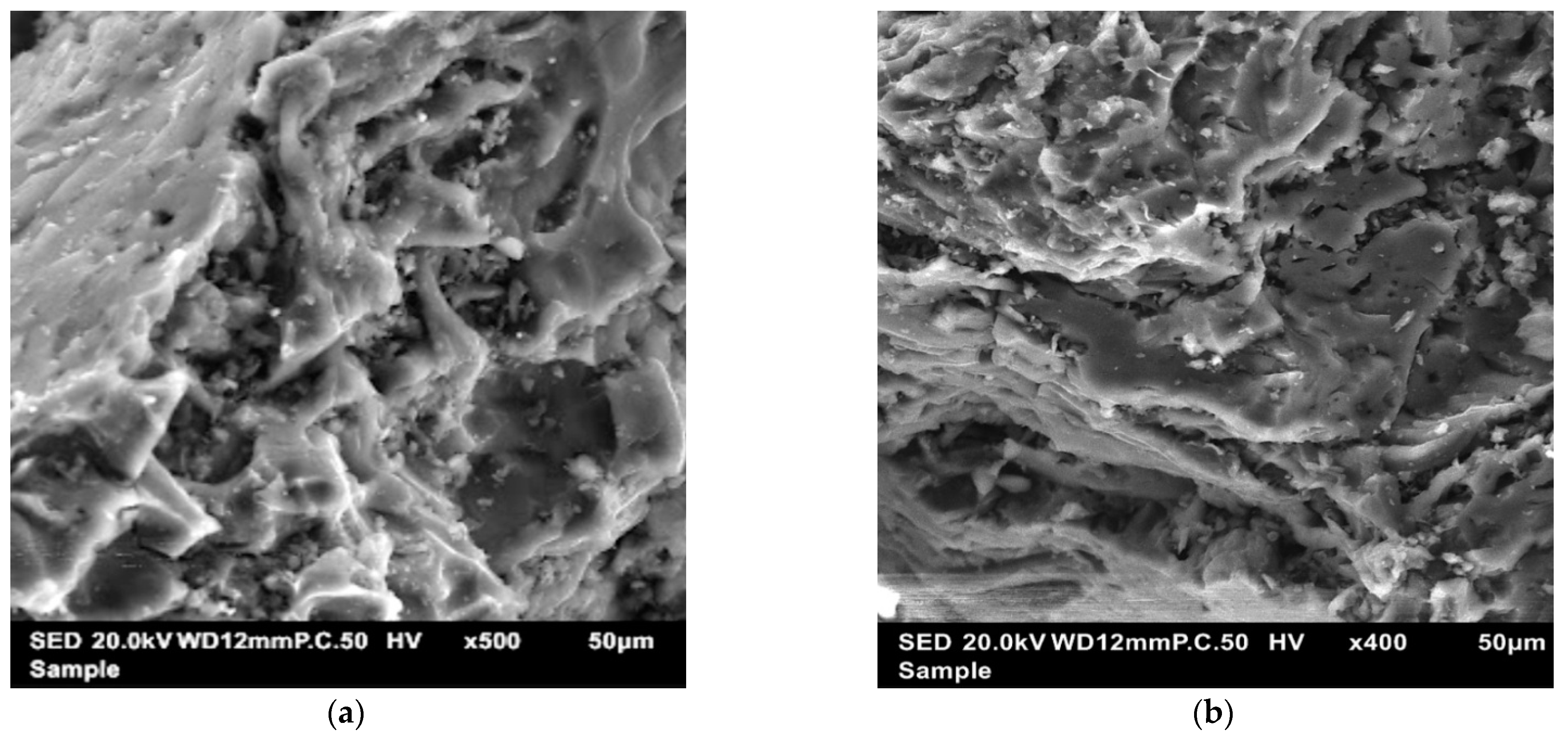 Sustainability 14 03245 g003