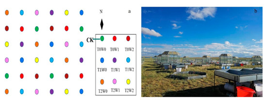 Effects of Warming and Precipitation on Soil CO2 Flux and