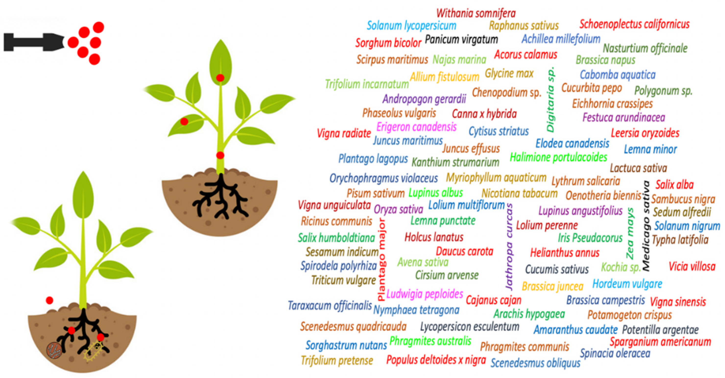 Sustainability 14 03353 g004 550