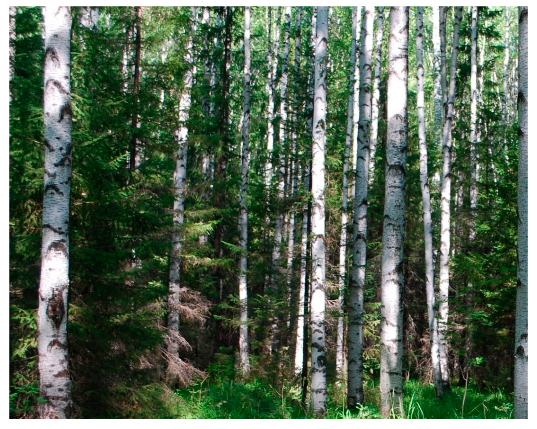 Sustainability 14 03384 g002