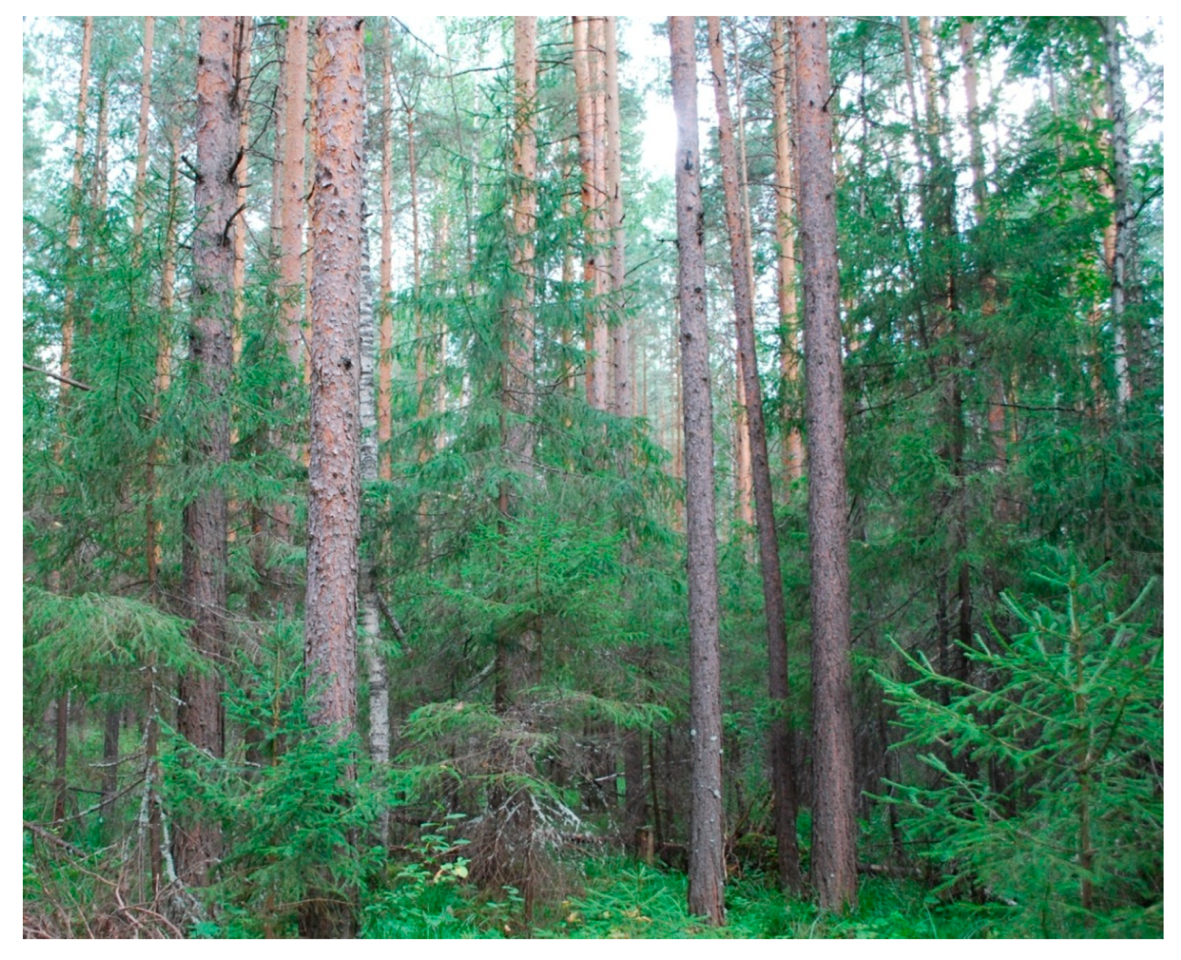 Sustainability 14 03384 g003